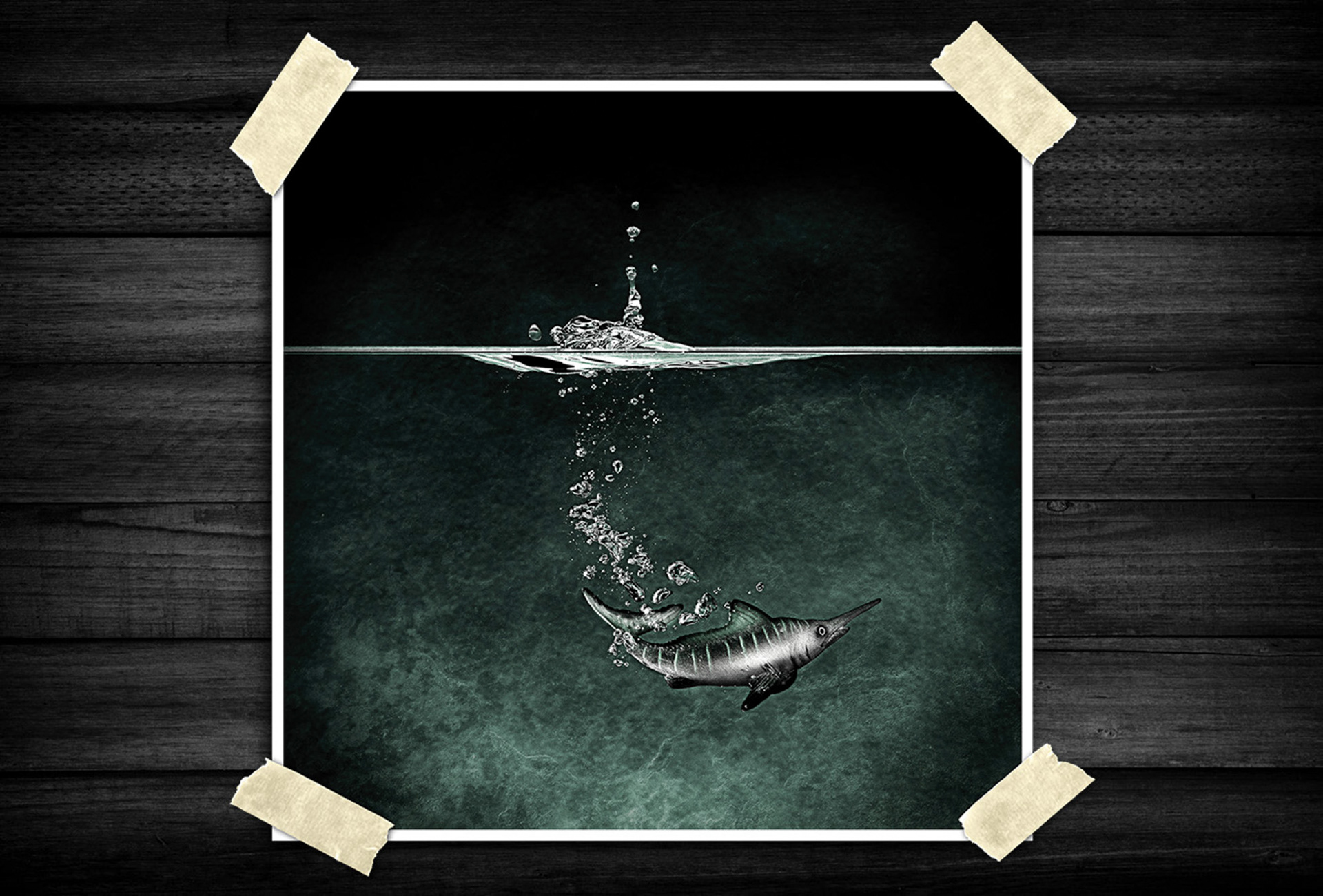 A minimalist underwater scene uses negative space, texture, and contrast to create a quiet sense of movement. Rising bubbles and dark tones add mystery and visual depth.