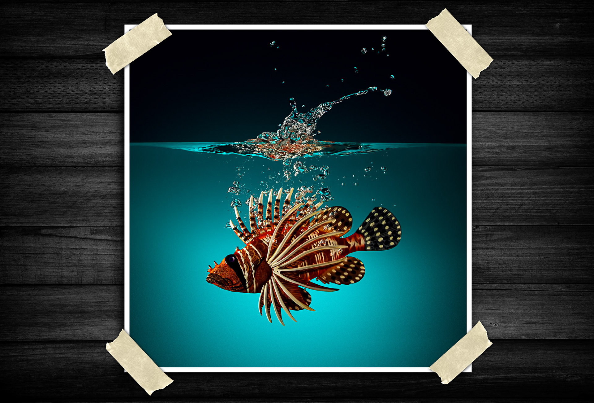 A striking display of elegance and danger, where delicate beauty masks quiet power beneath the surface.