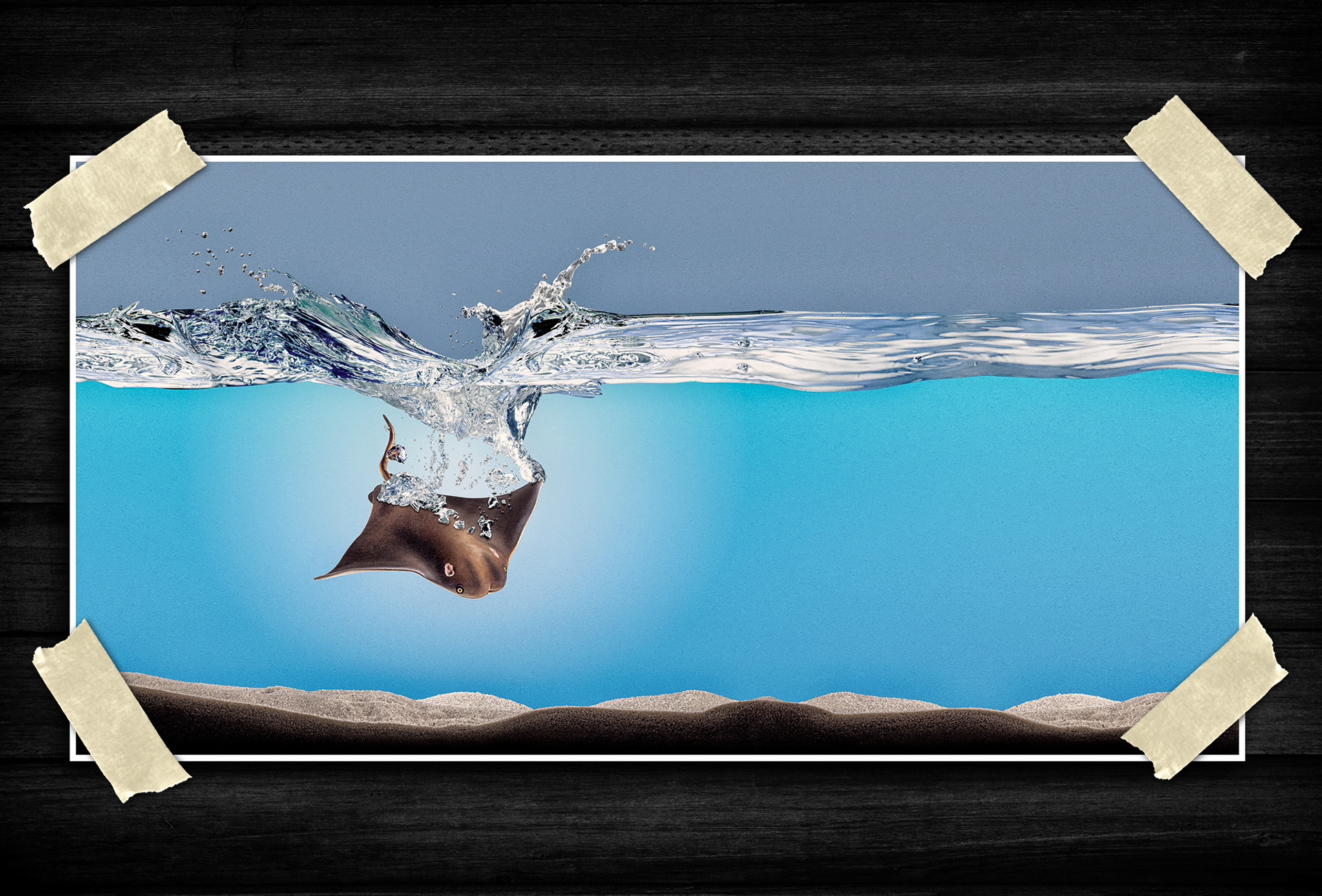 A fluid composition captures motion and precision through suspended movement, crisp detail, and balanced negative space. Cool tones and dynamic textures create a clean, energetic visual flow.