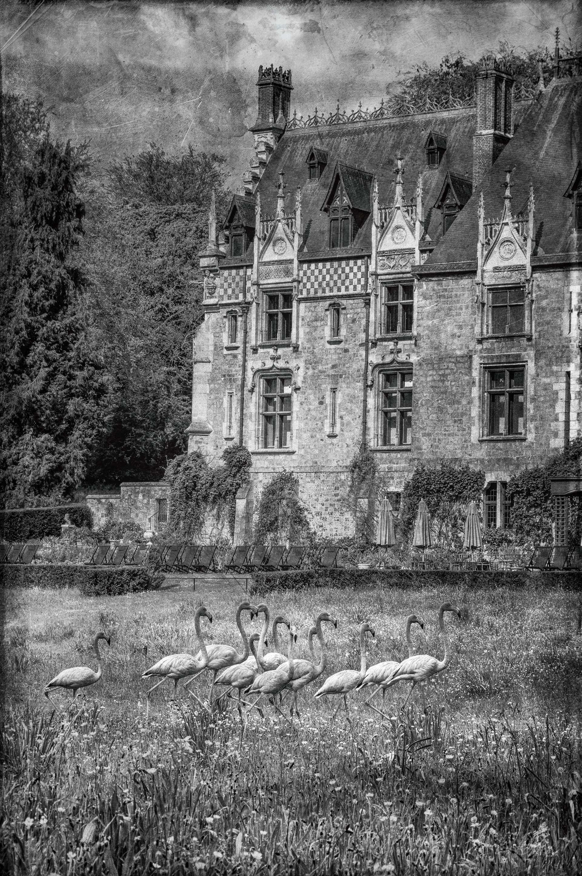 159- Parc de Clères
