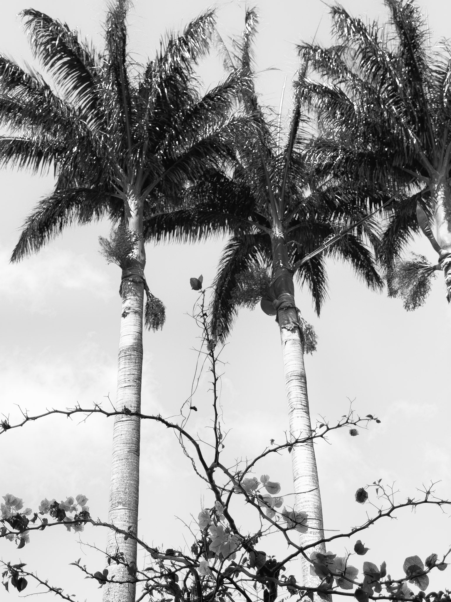 time spent under a palm tree never seems wasted :-D