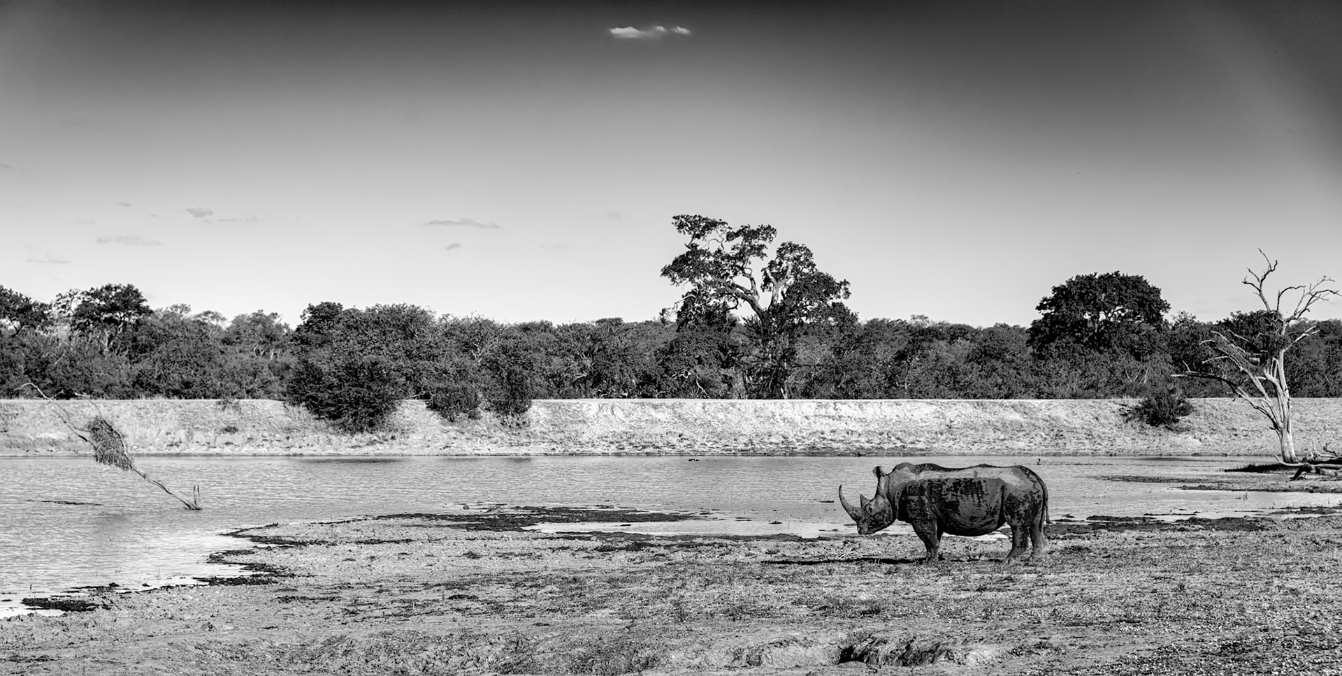 Let's all sing along: "home, home on the planes. Where the elephants and white rhinos play,.."
