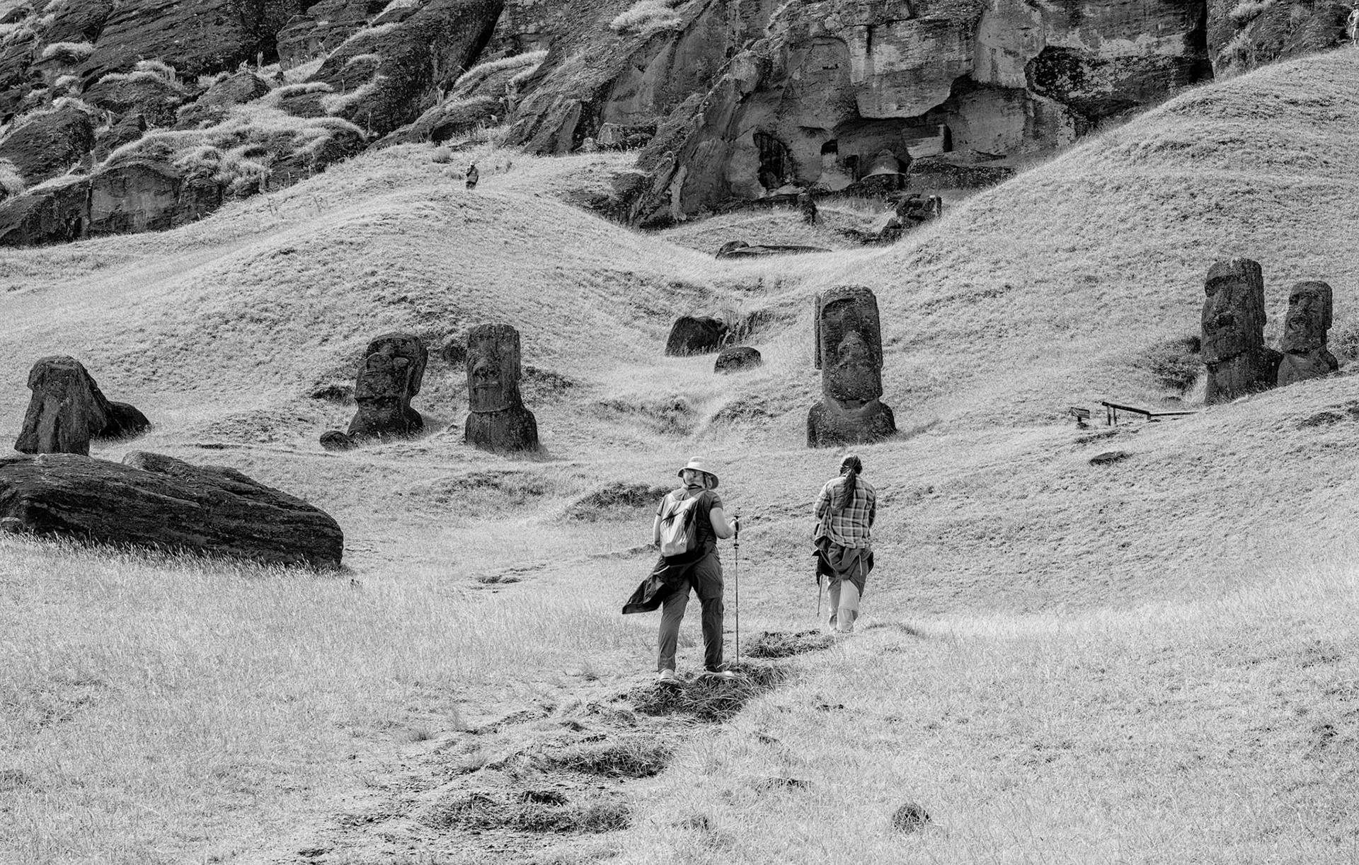 Strolling the Moai field