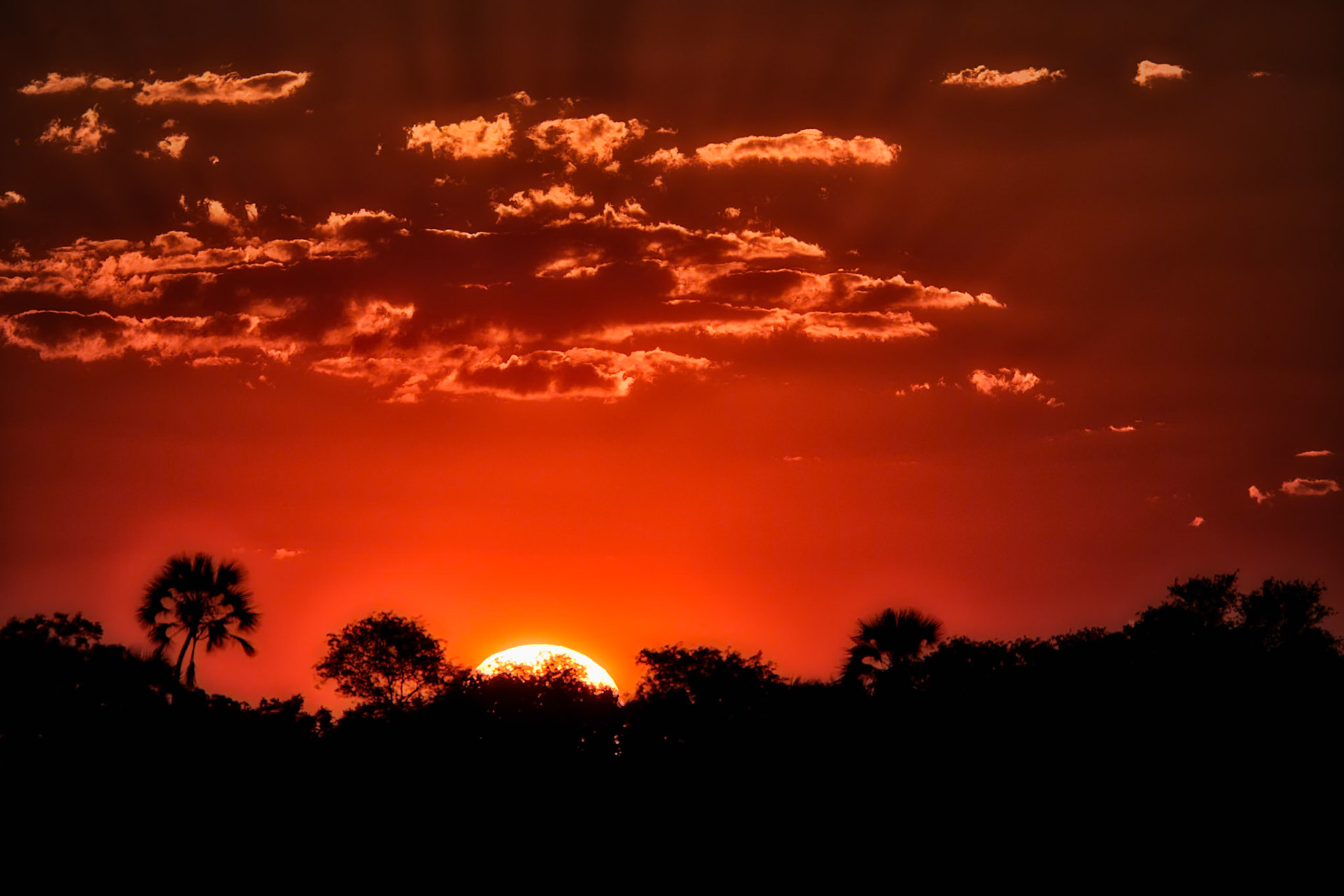 Yes - the sky really was that orange. The setting sun along the Zambezi River shoreline seems to set the sky ablaze.