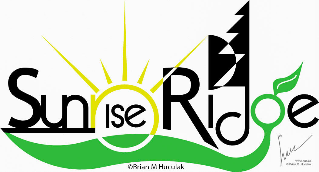 Personal development - a sequence of logo design concept sketches for logo concepts for black and white or color print, and online presence for a Colorado Home Owners Association