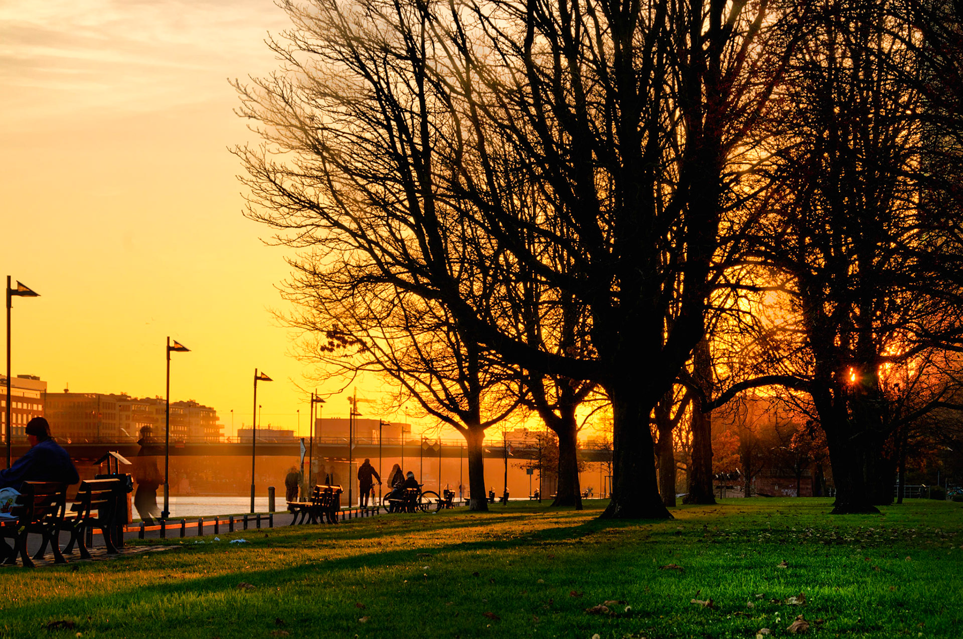Evening light falls along the waterfront walk along the Main River in Frankfurt, Germany
