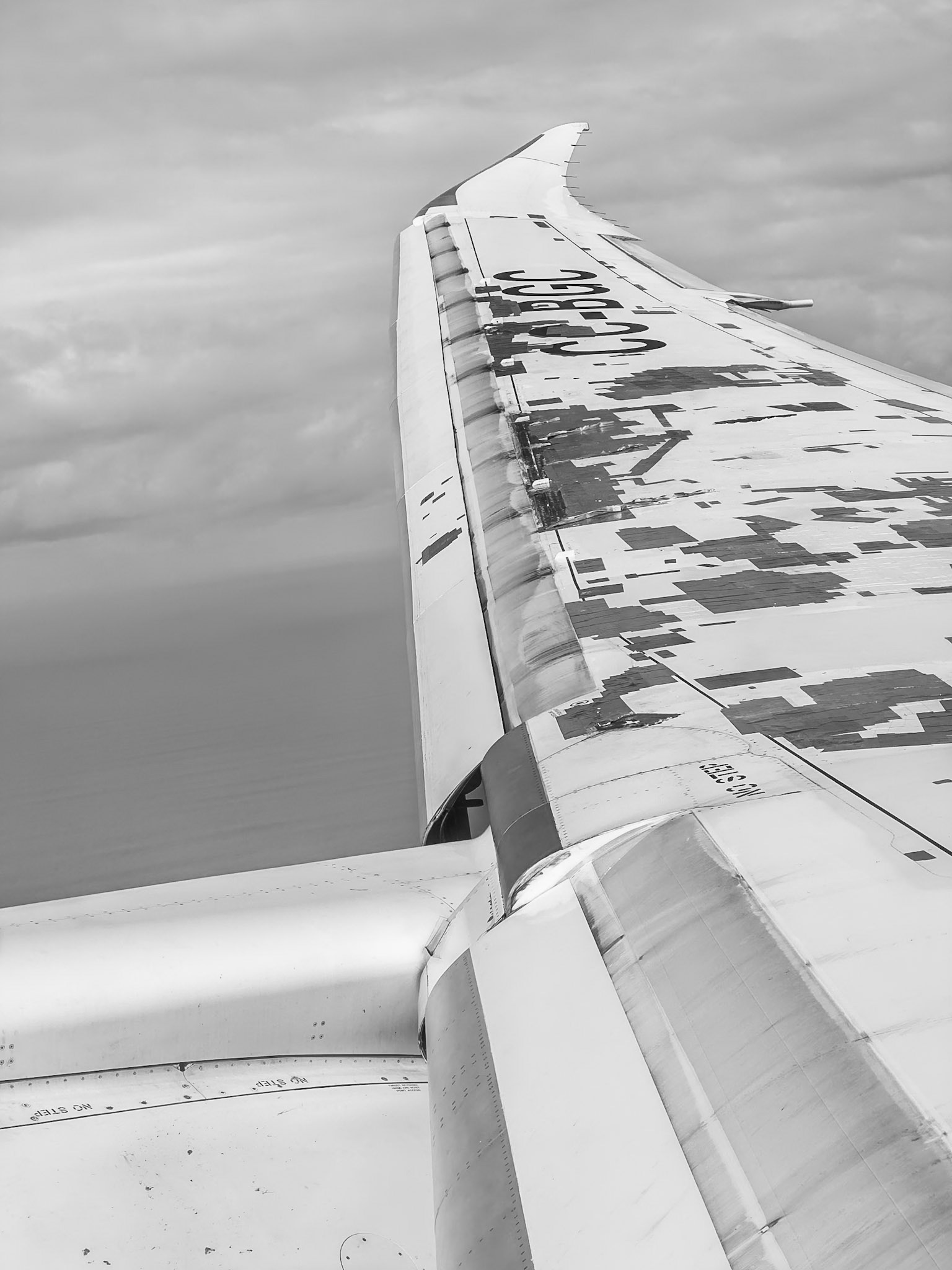 A quick view out the window and here's what I see! That's missing pieces of finish and small strips of metal (Aluminium my guess) along the leading wing edge. Explains Paula's smile upon landing.