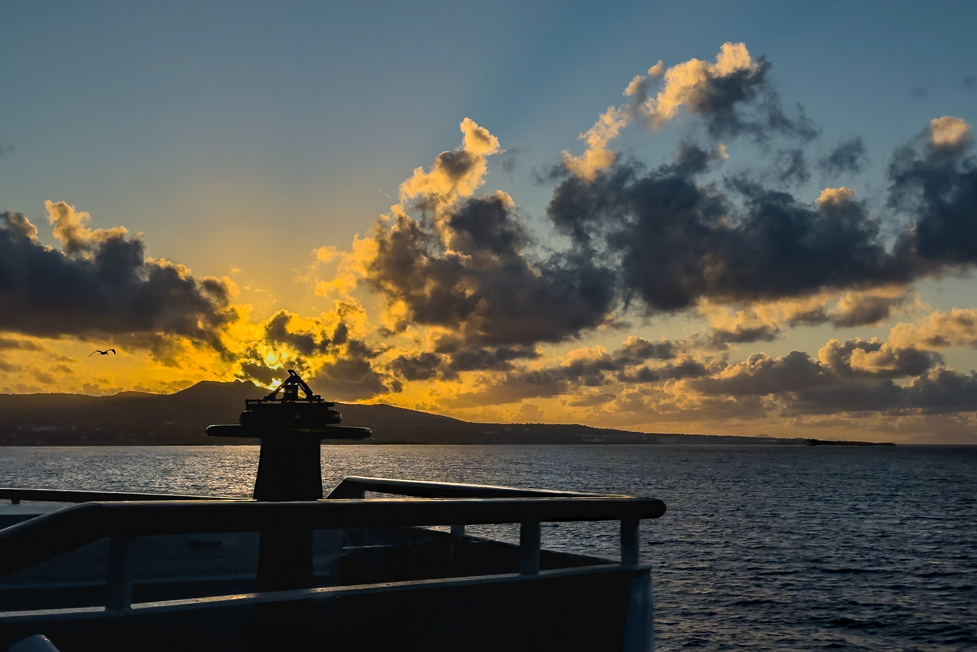 A gull and I enjoy taking in the start of another great day as we approach Nevis.