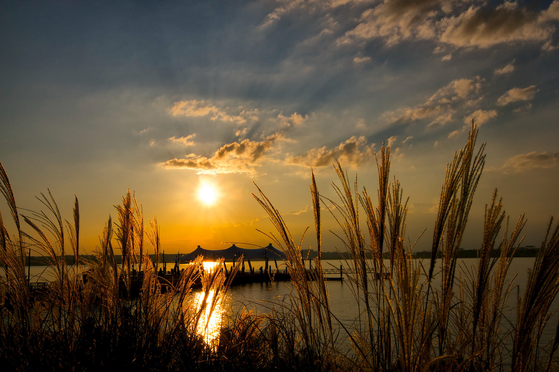 Despite the sunset colors not being the most spectacular - I liked by how the light was playing off of the tall grasses.