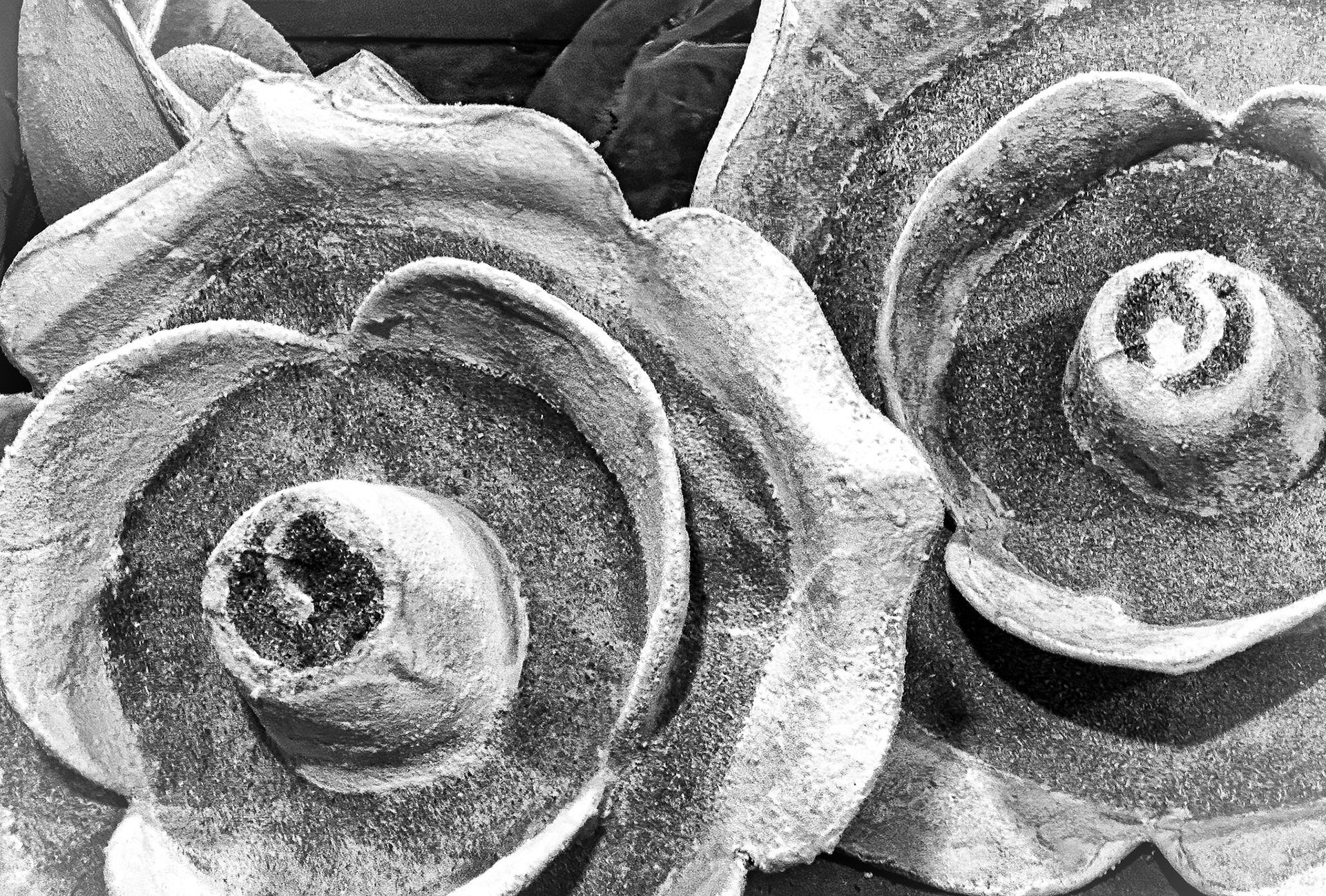 Even the enormous flower sculptures are coated in seeds and other organic finishes.