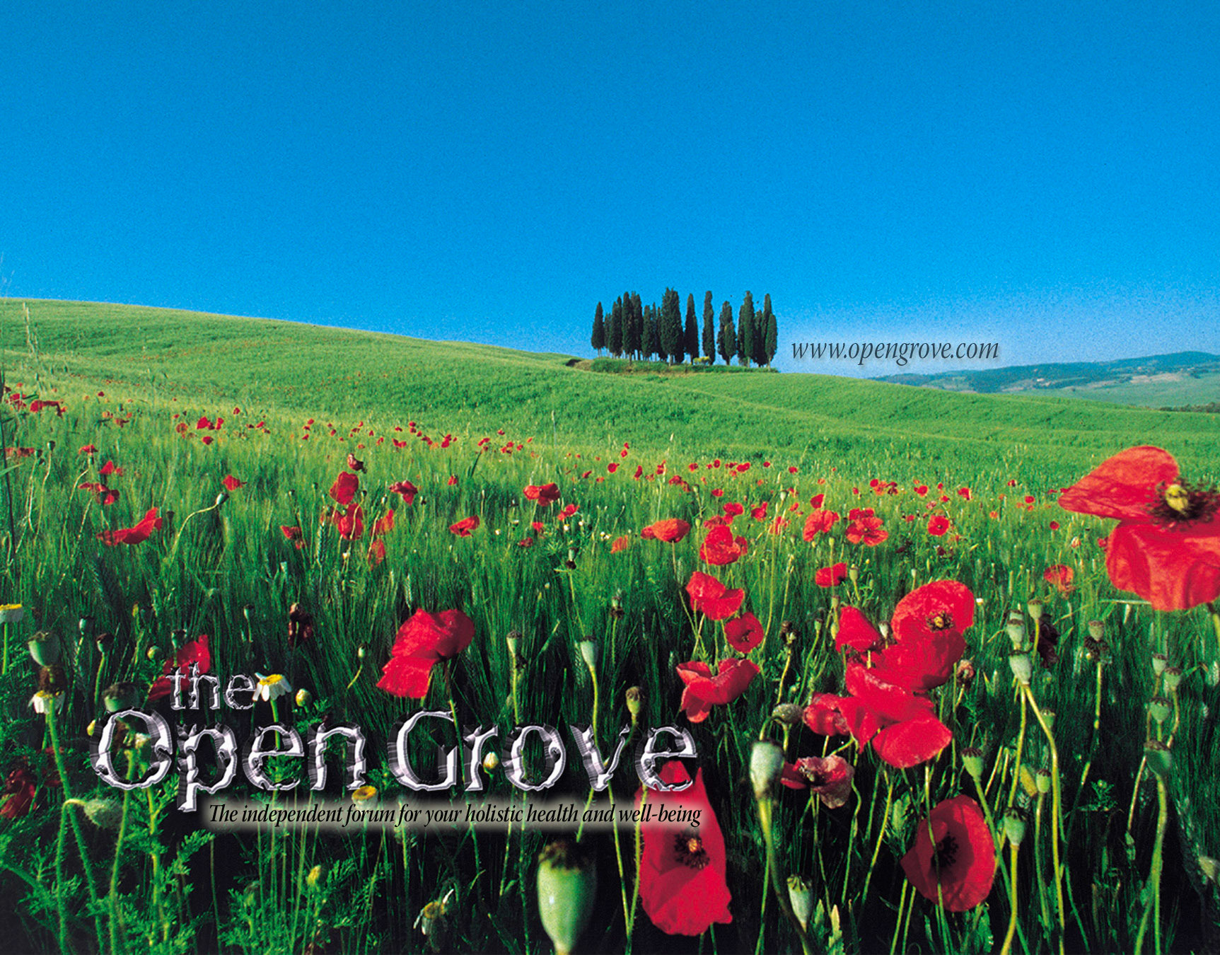 postcard to accompany the box set of Audio CD's. Client: The Open Grove