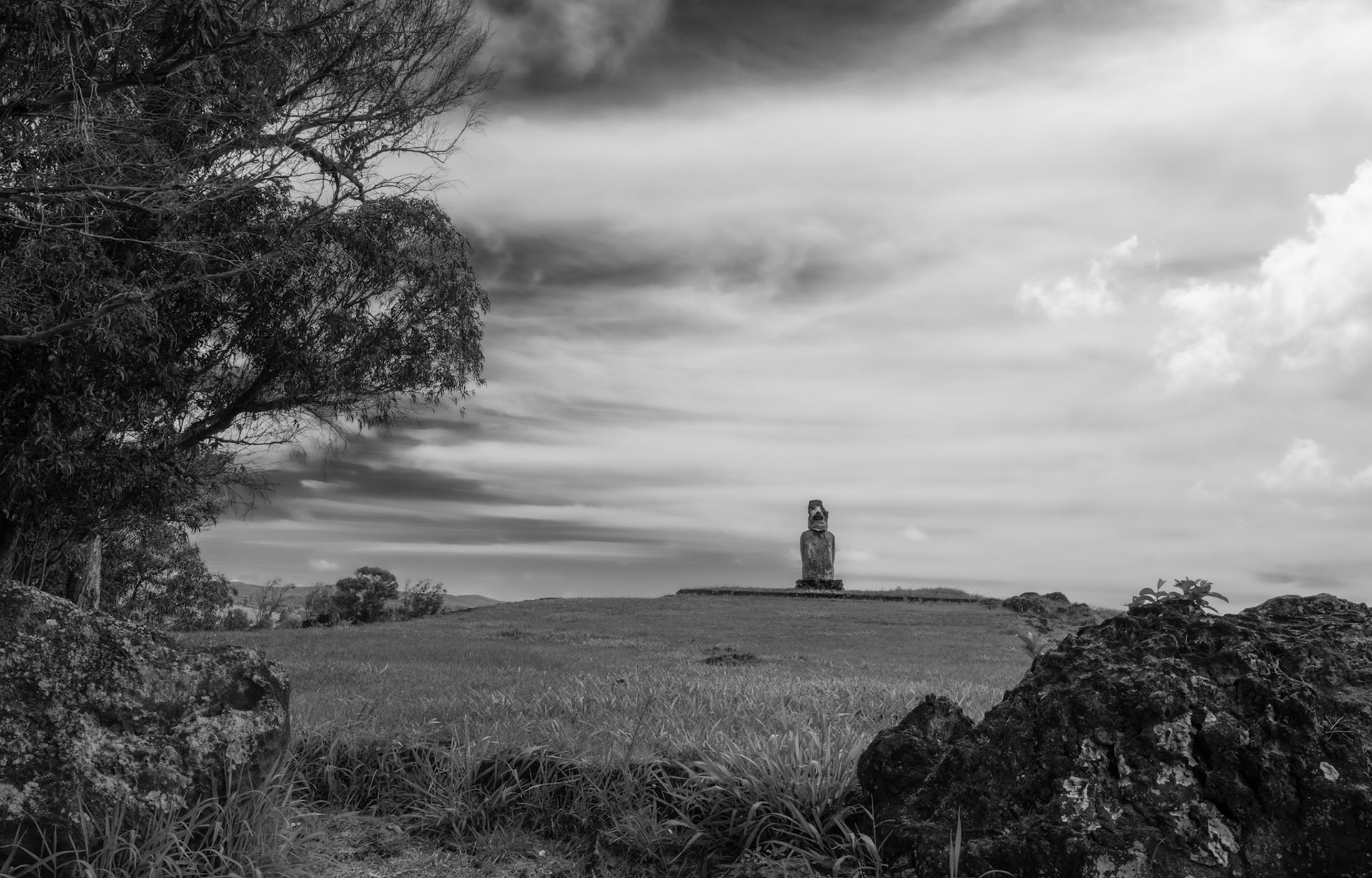 An inland Moai at the top of the hill facing the ocean. Contrast that with the large coastal installations.