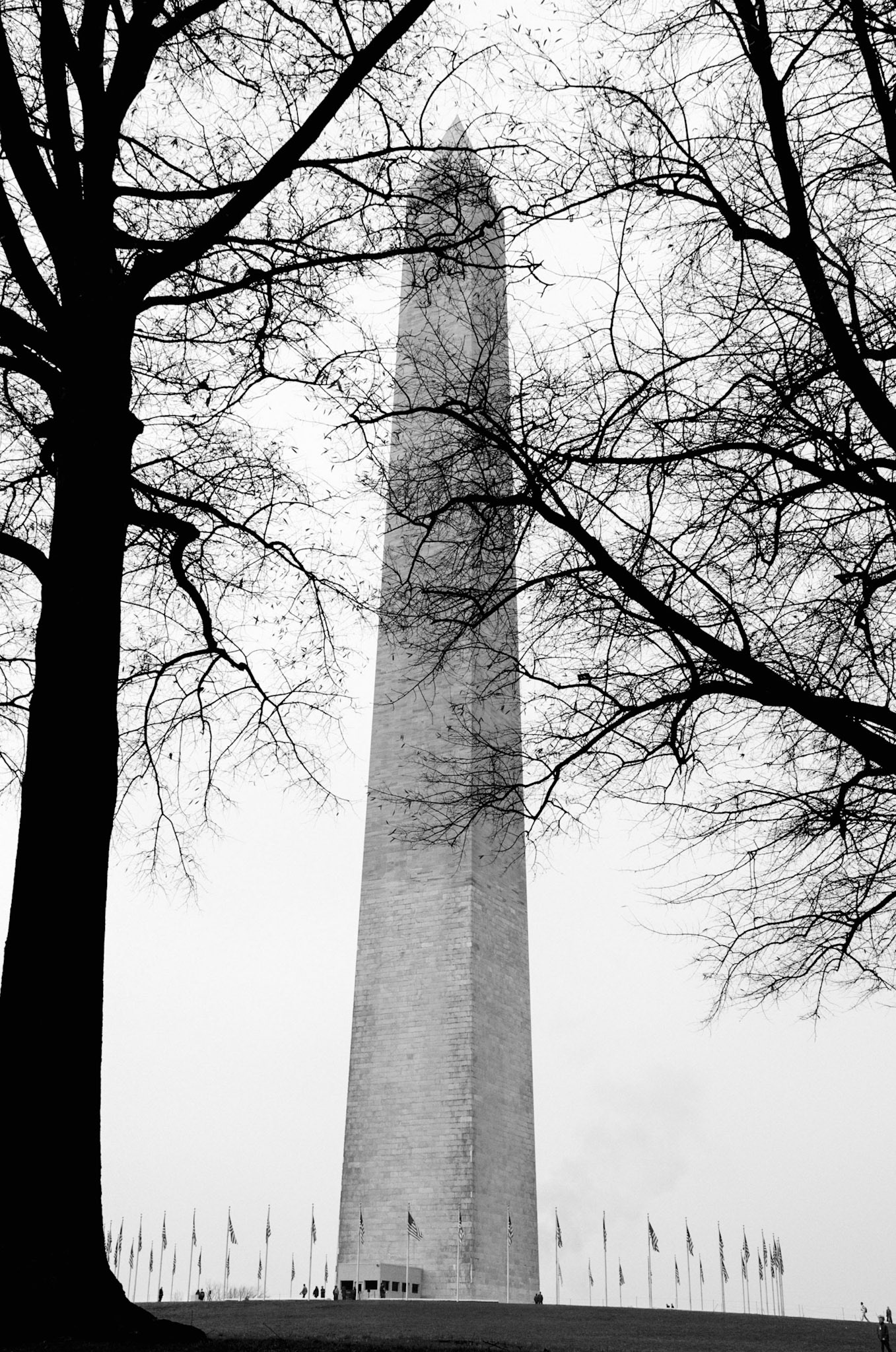 It was a cold and foggy morning as I wondered the National Mall in Washington, DC. The stark contrast of this scene of the Washington Monument immediately caught my eye. Had it been Spring I would have likely walked right by as the leaves would have blocked this unique view. The low lying fog provided an eerie and unique backdrop that lends to the contrast and composition of the scene. The trees, their branches reaching up and across the composition, reminded me of the branches of government and mark the passage time since 1848.