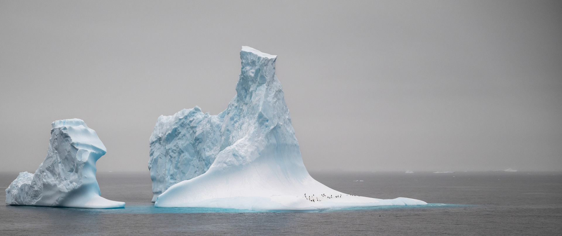 A small huddle of penguins on the ice as a smaller raft approaches