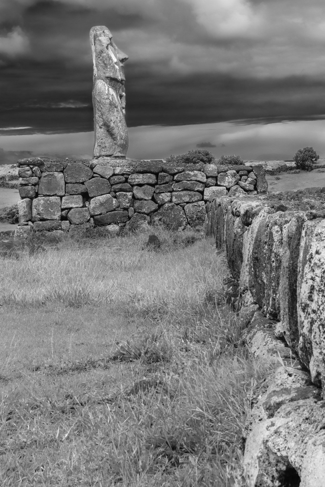 PERFECTLY aligned hand place Moai weighing several Tonnes. Impressive is all I can say