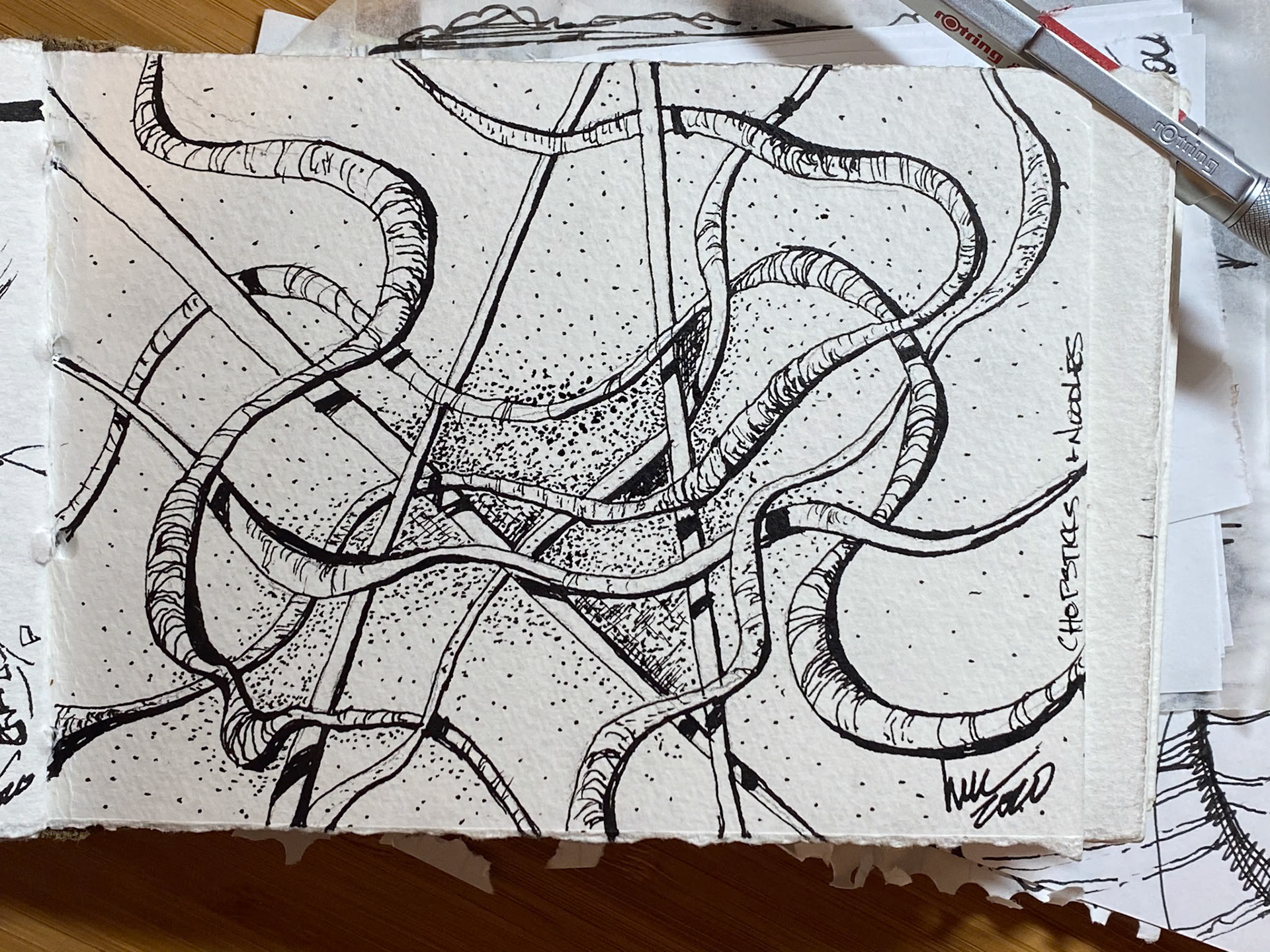 chop sticks and noodles