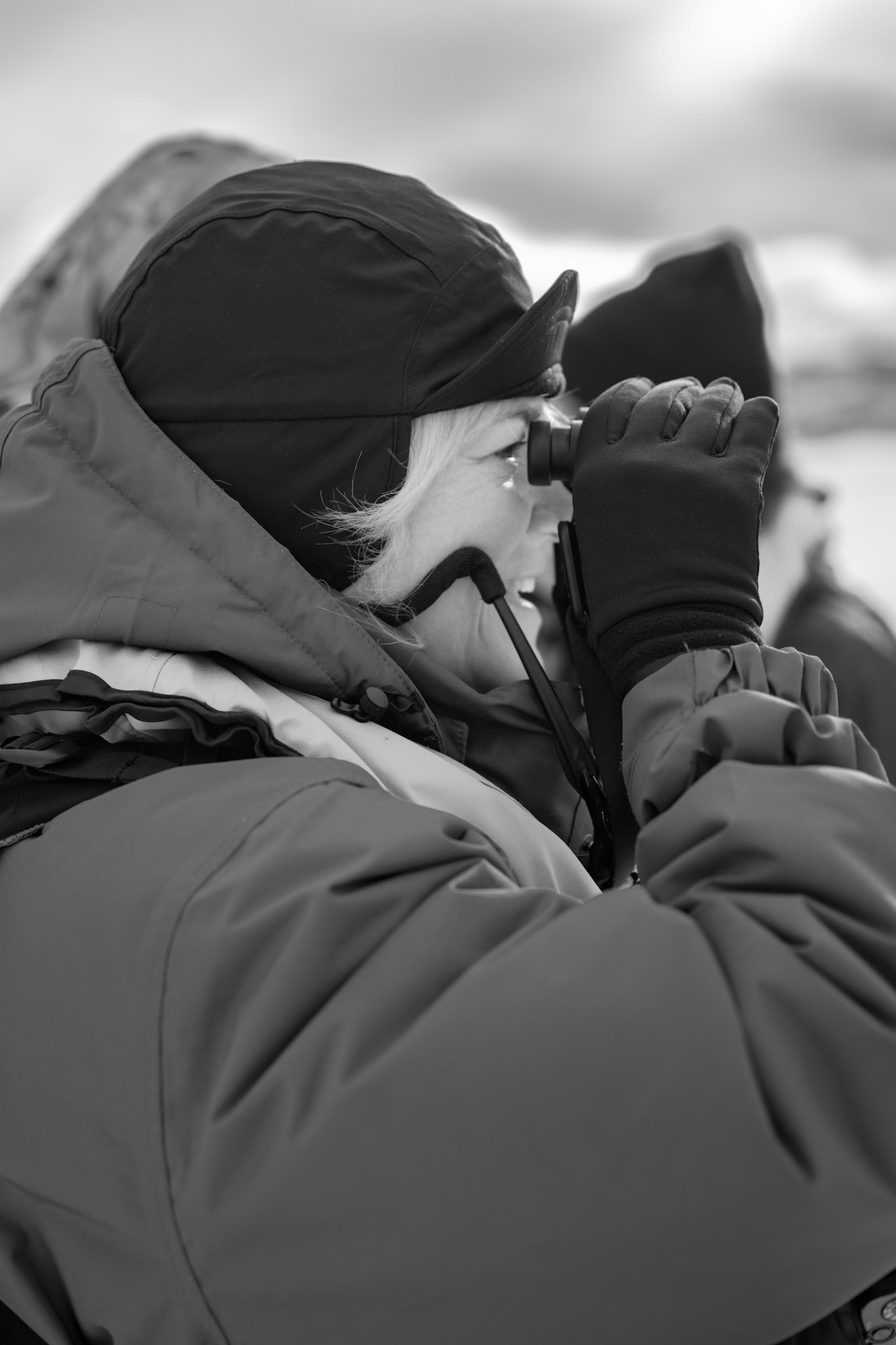 Paula checking out the rare sighting of a King Penguin