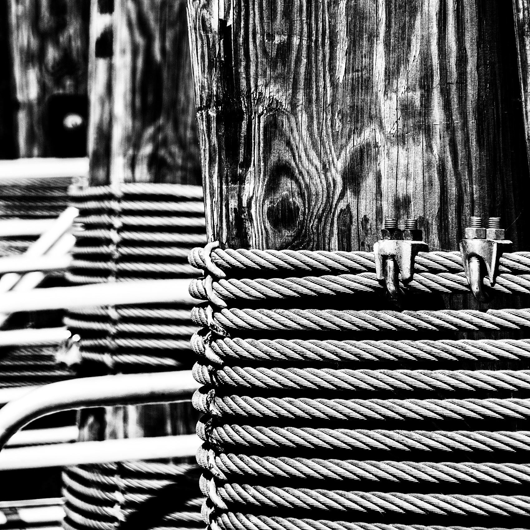the texture and contrast of steel cable to wood piles aught my ele at old town Alexandria