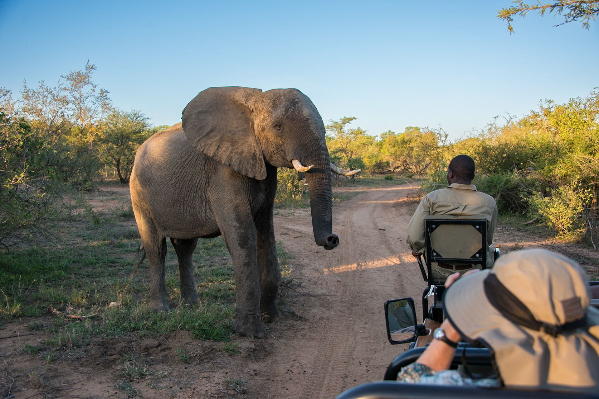 Upclose and personal with some of the locals