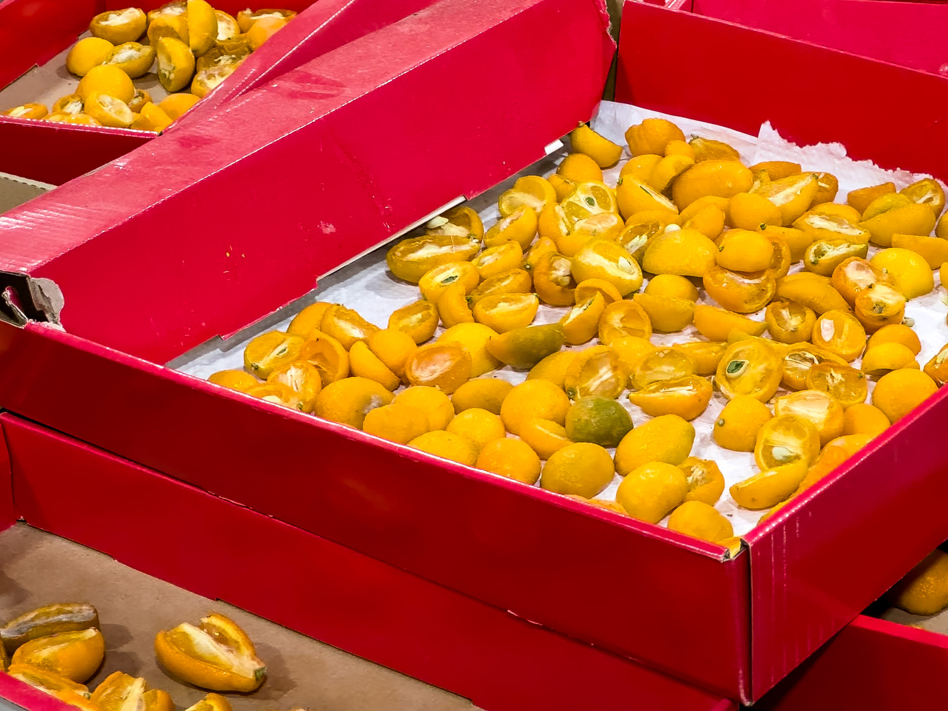 A plethora of organic items coat every exposed surface of each float.