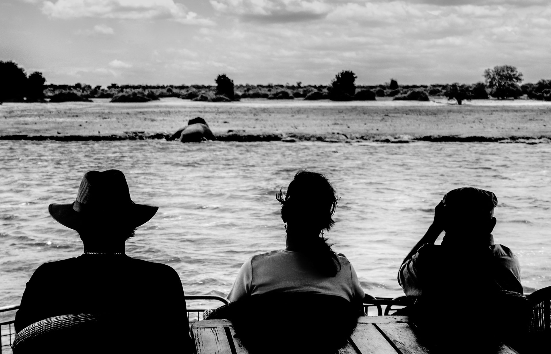 Part of our group taking in the croc's feasting on the elephant so we got a little closer...