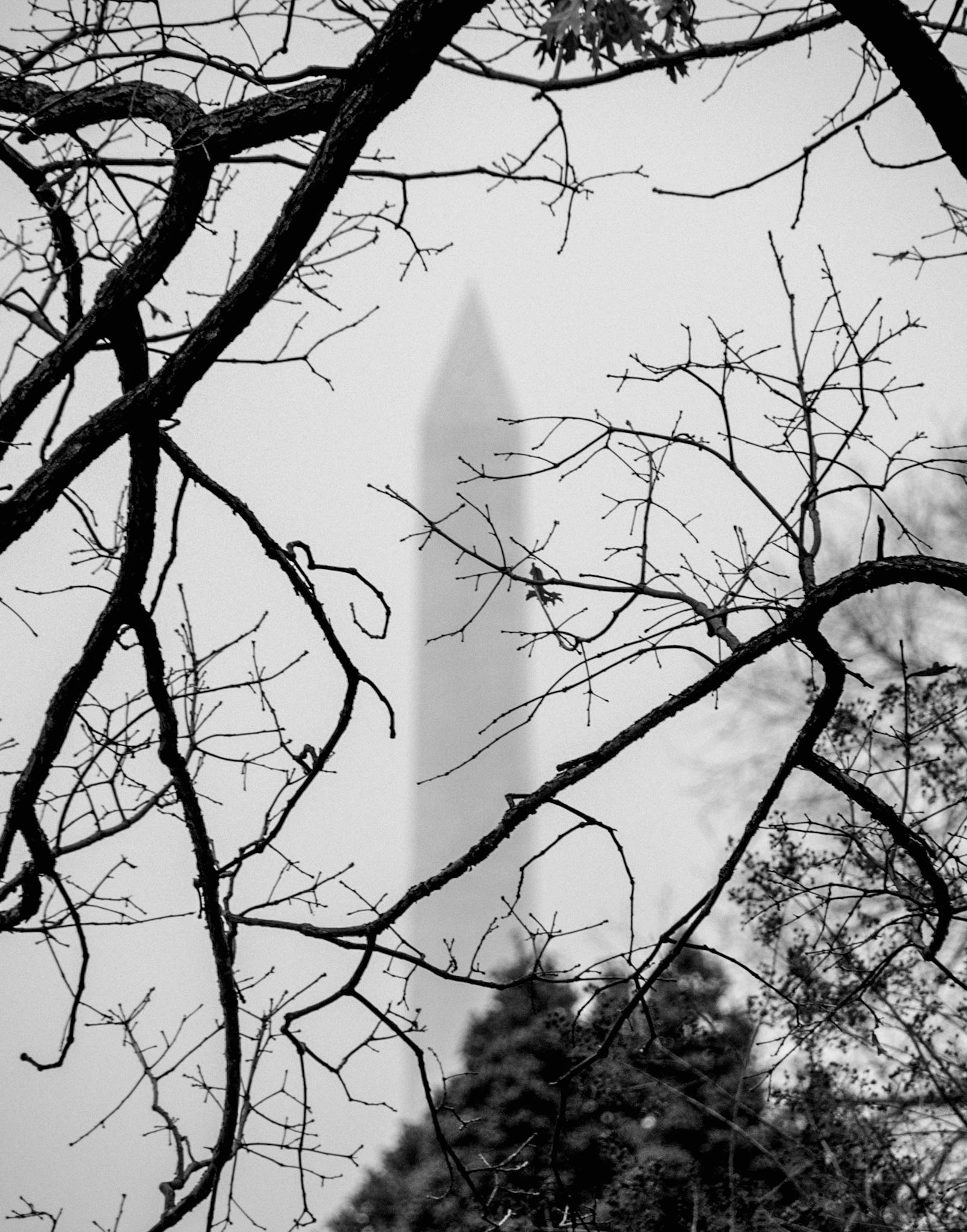 History In The Mist as the Washington Monument peaks through the fog on a cold November day in D.C.