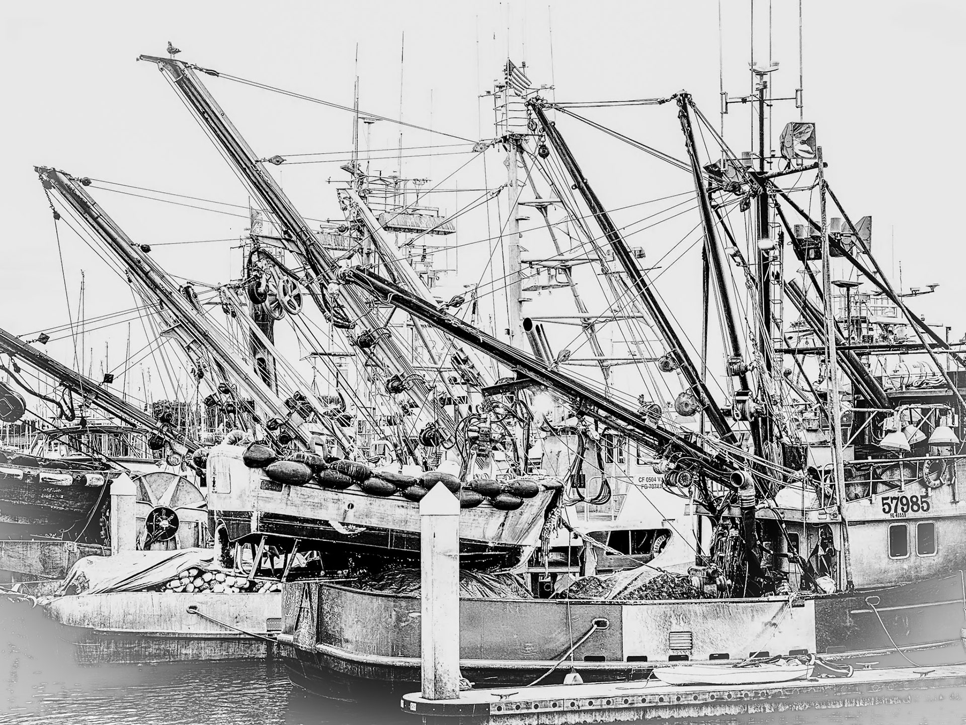 Taking in some scenery in the shelter of the harbour.