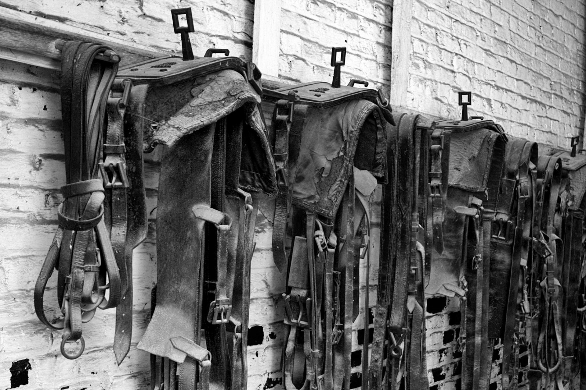 Mount Vernon &amp; George Washington's Estate