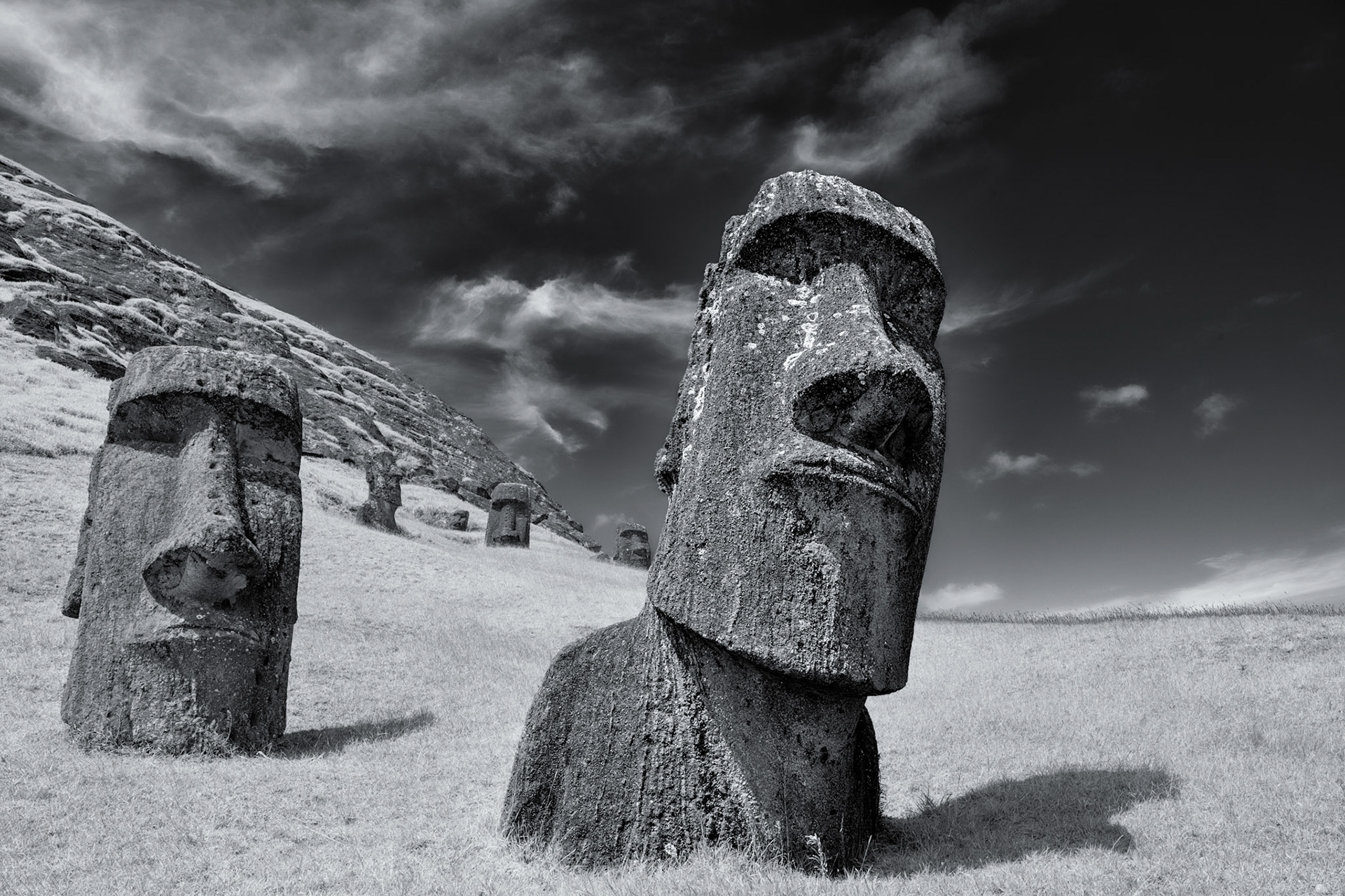 Fulll sized Moai scattered throughout the carving site; abandonded and buried metres deep over the centuries.