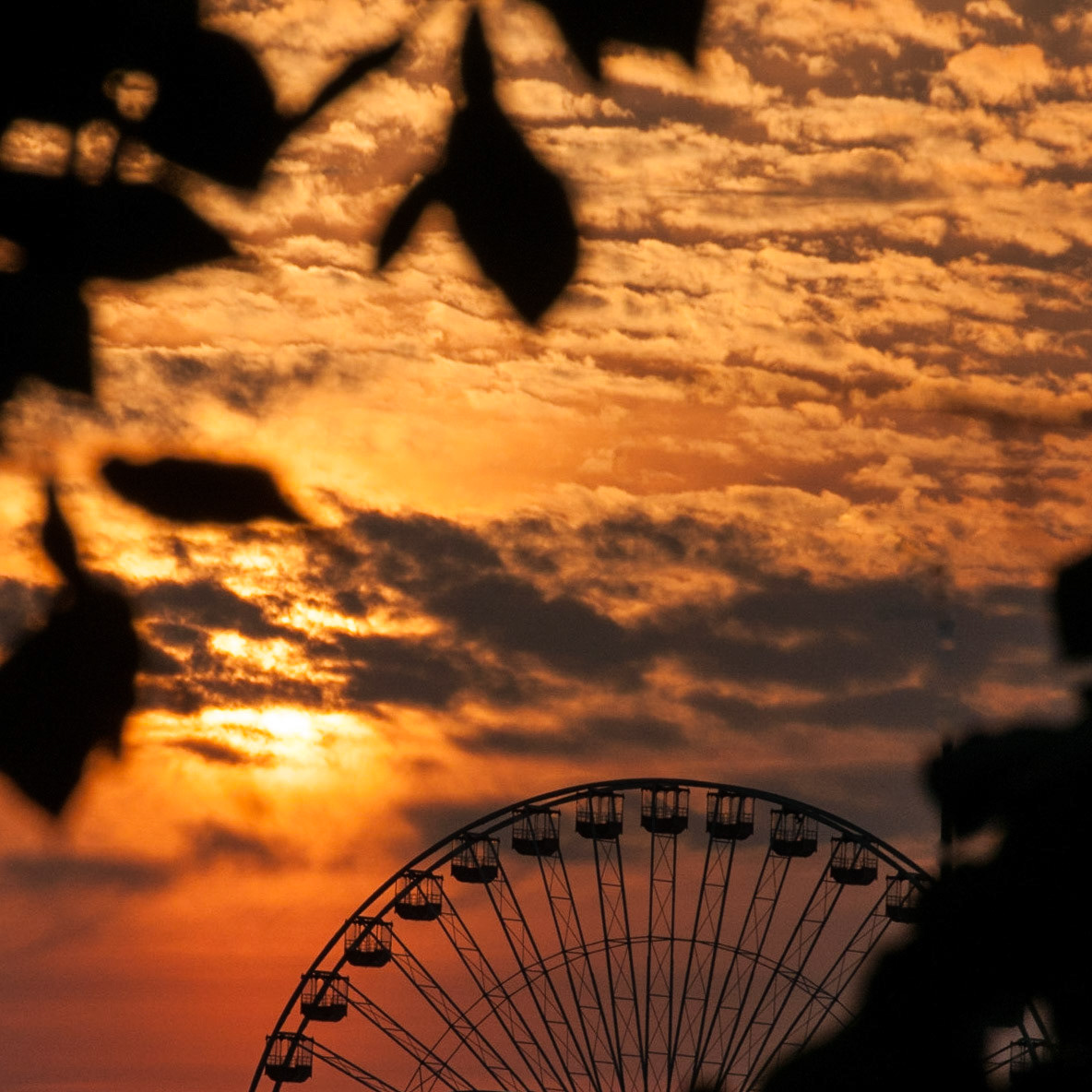 Silhouette of the ferris wheel at Navy Pier, Chicago, at sunrise.