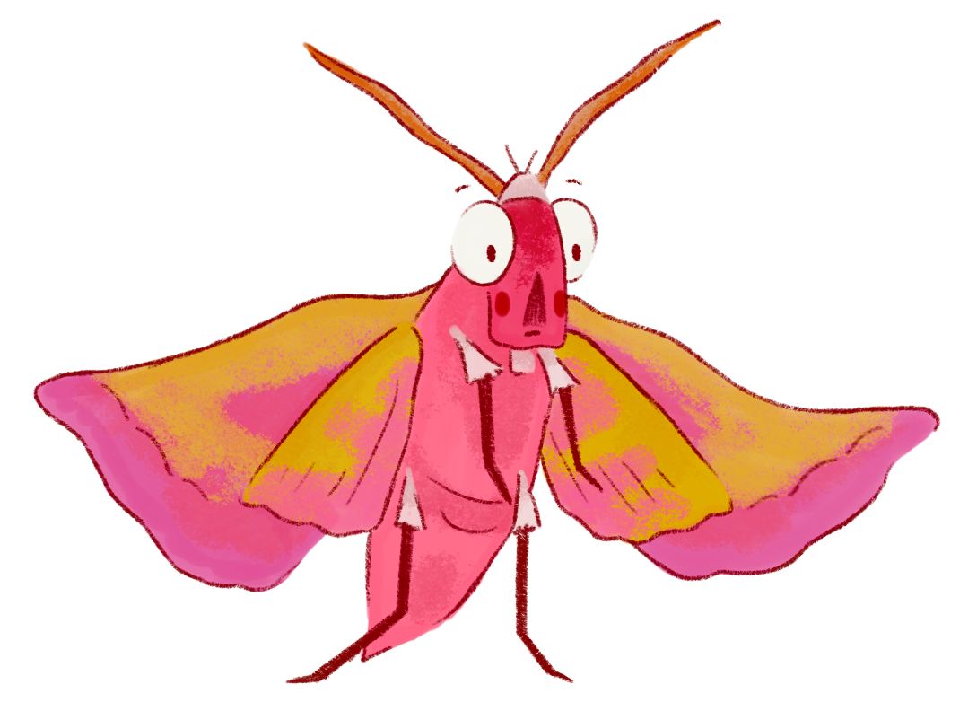 Bug character design for picture book (uni)