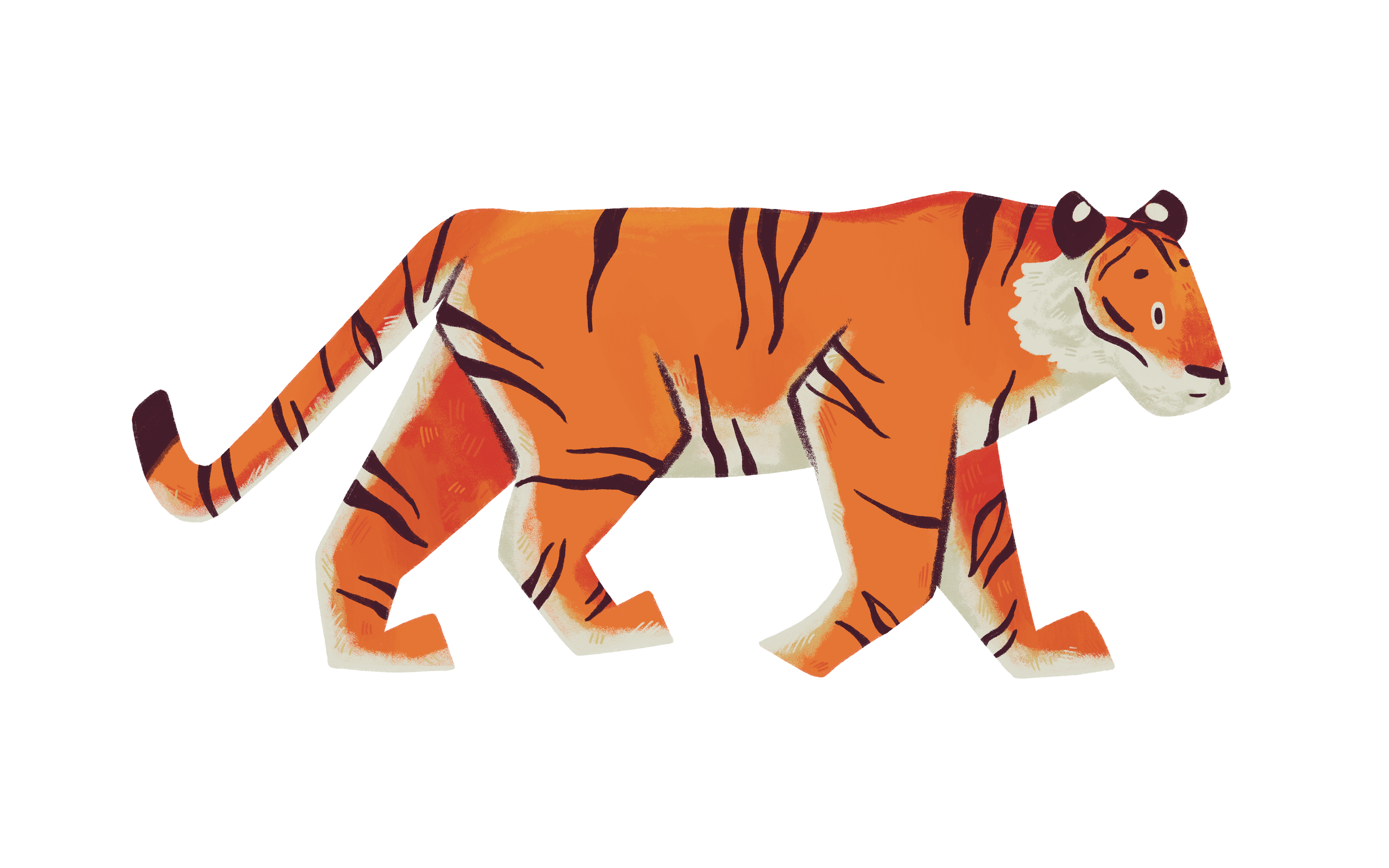 Tiger character design for picture book (uni)