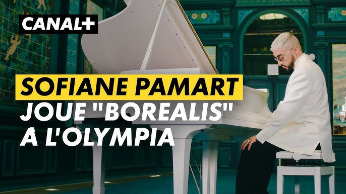 Sofiane Pamart x Déambulations