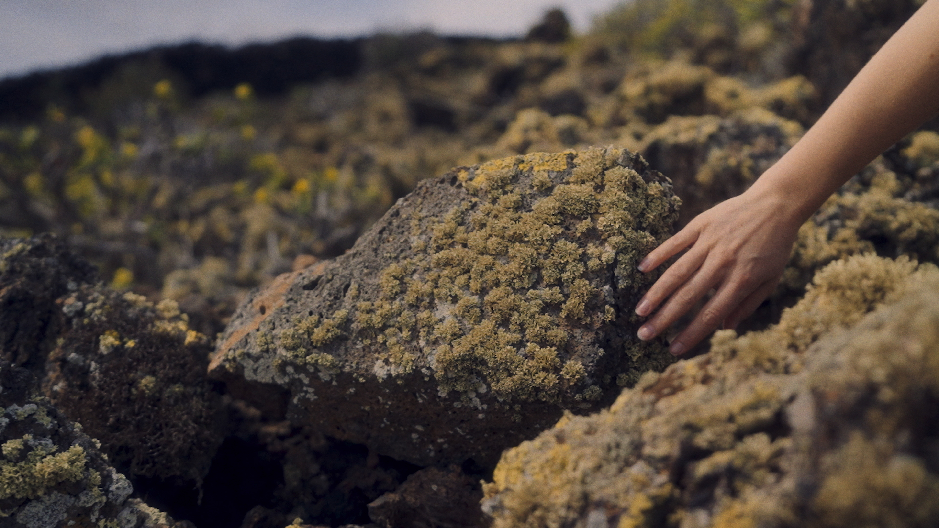Echappée - Agathe Catel (still)
