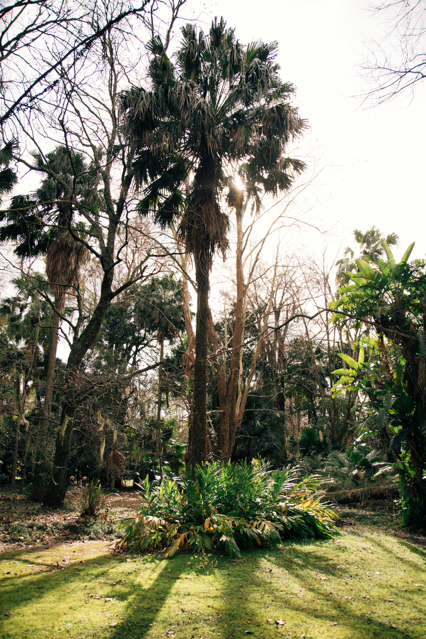 Content for social networks