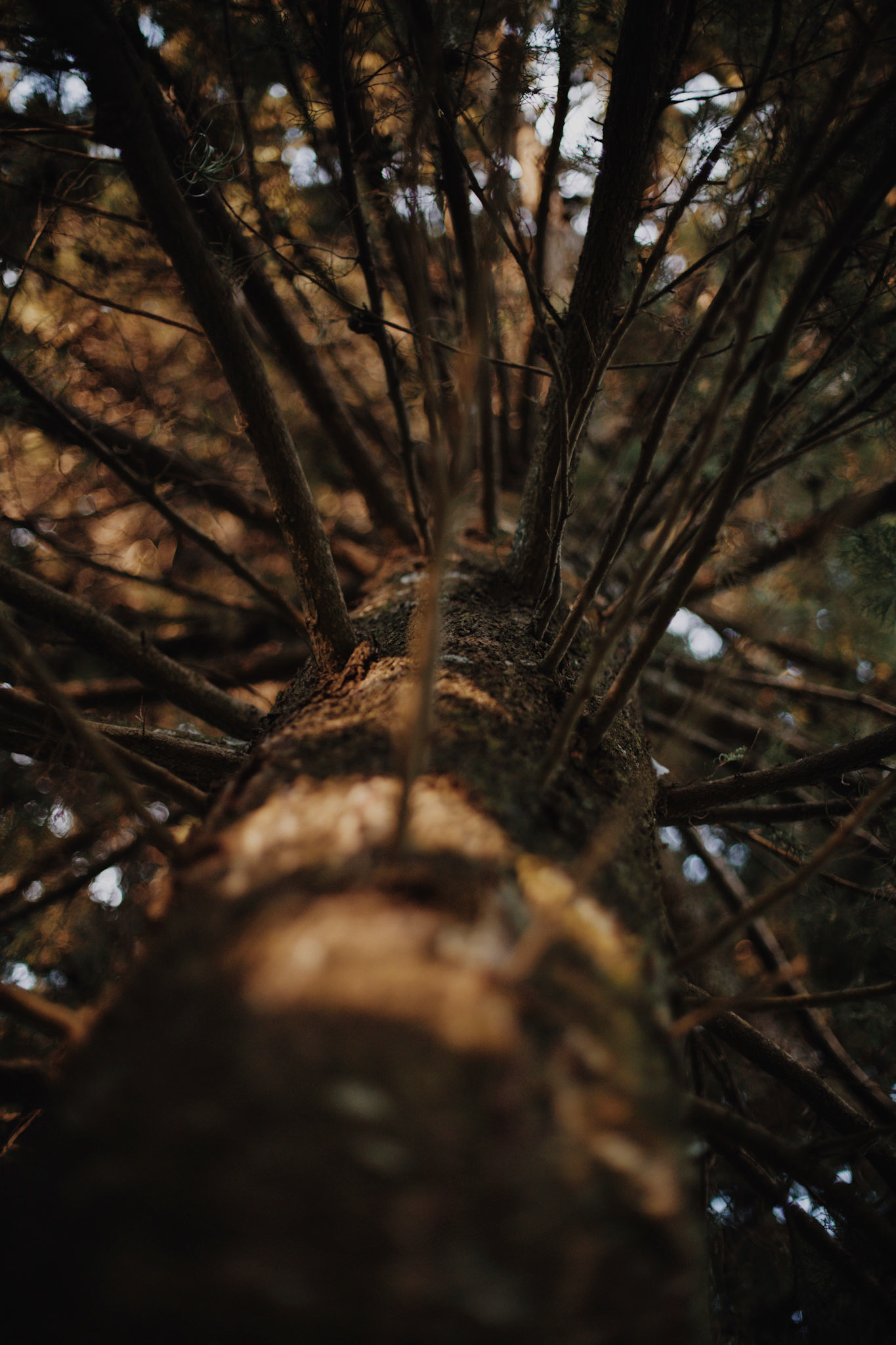 Content for social networks