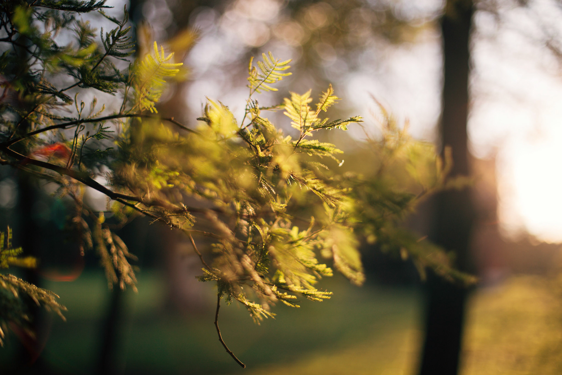 Content for social networks