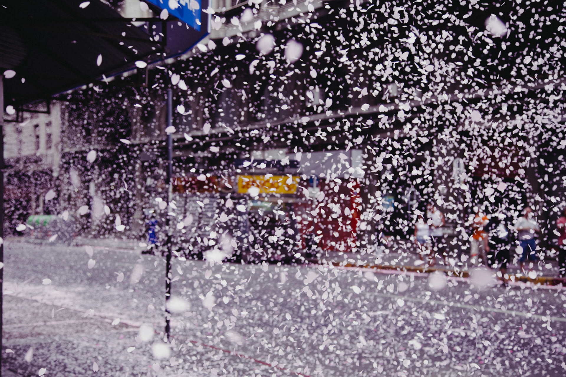 Asahi Beer Advertising Photo Collaboration