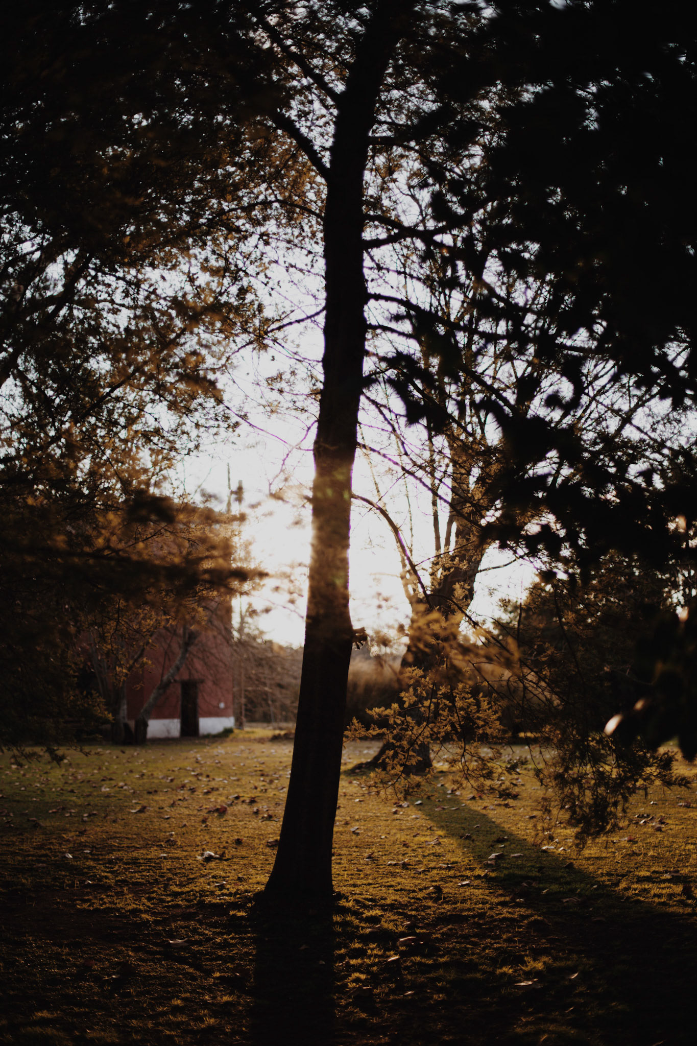 Content for social networks