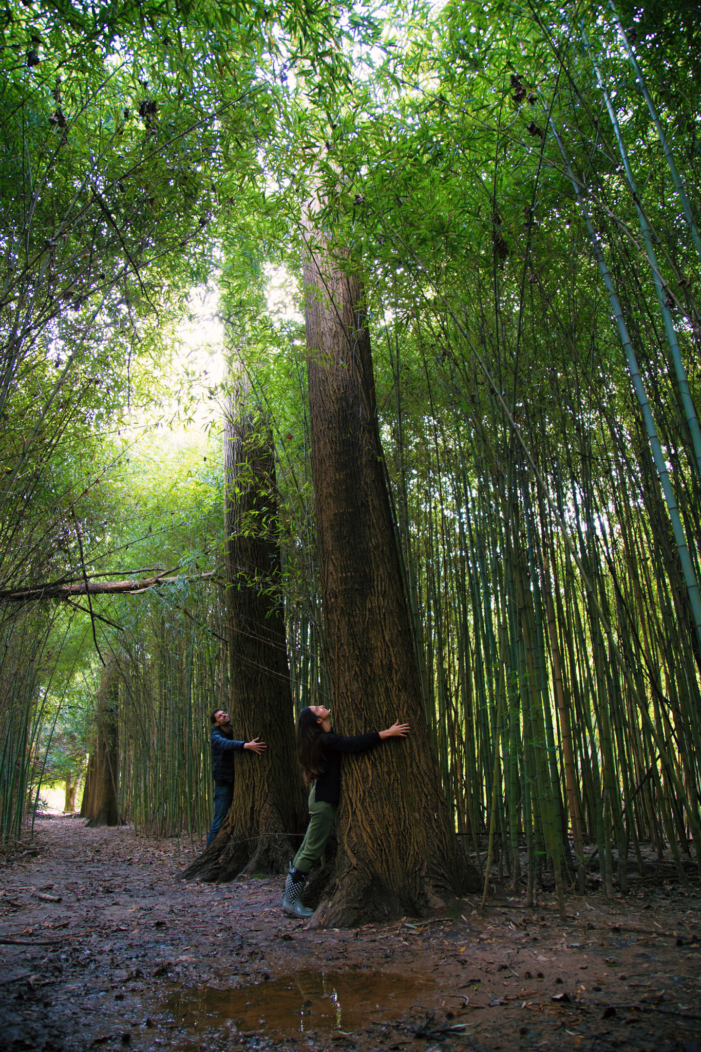 Content for social networks