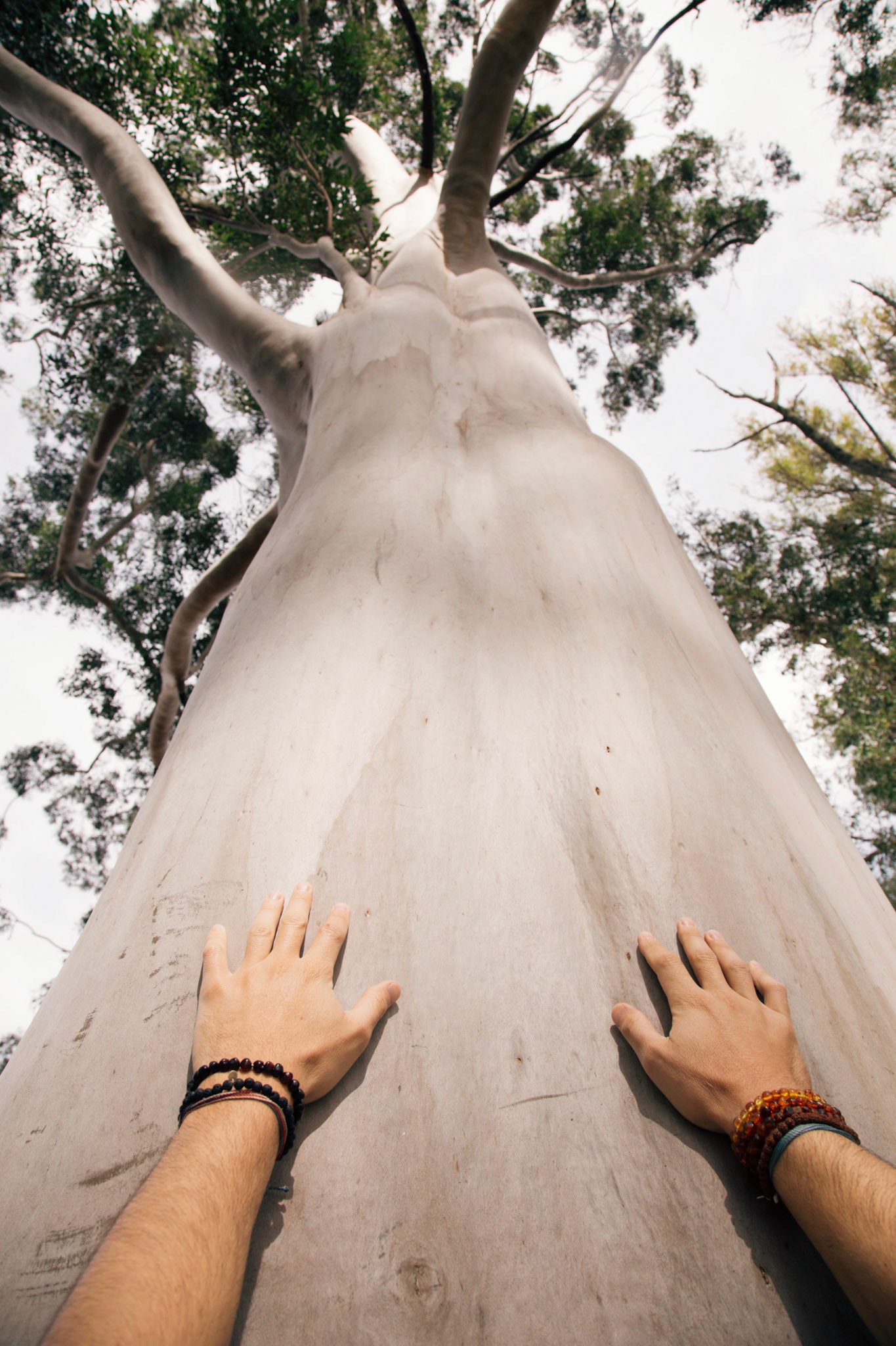 Content for social networks