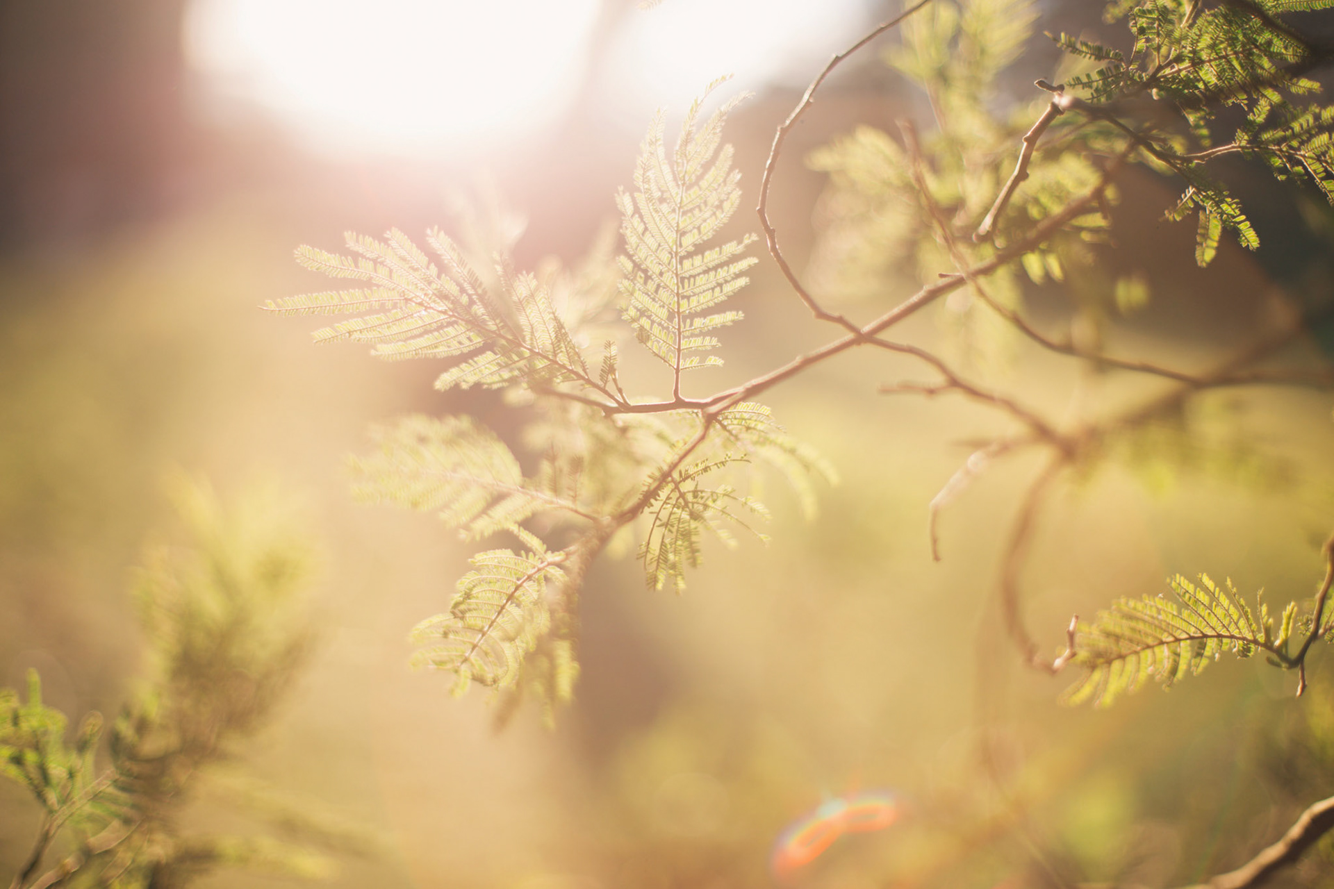 Content for social networks