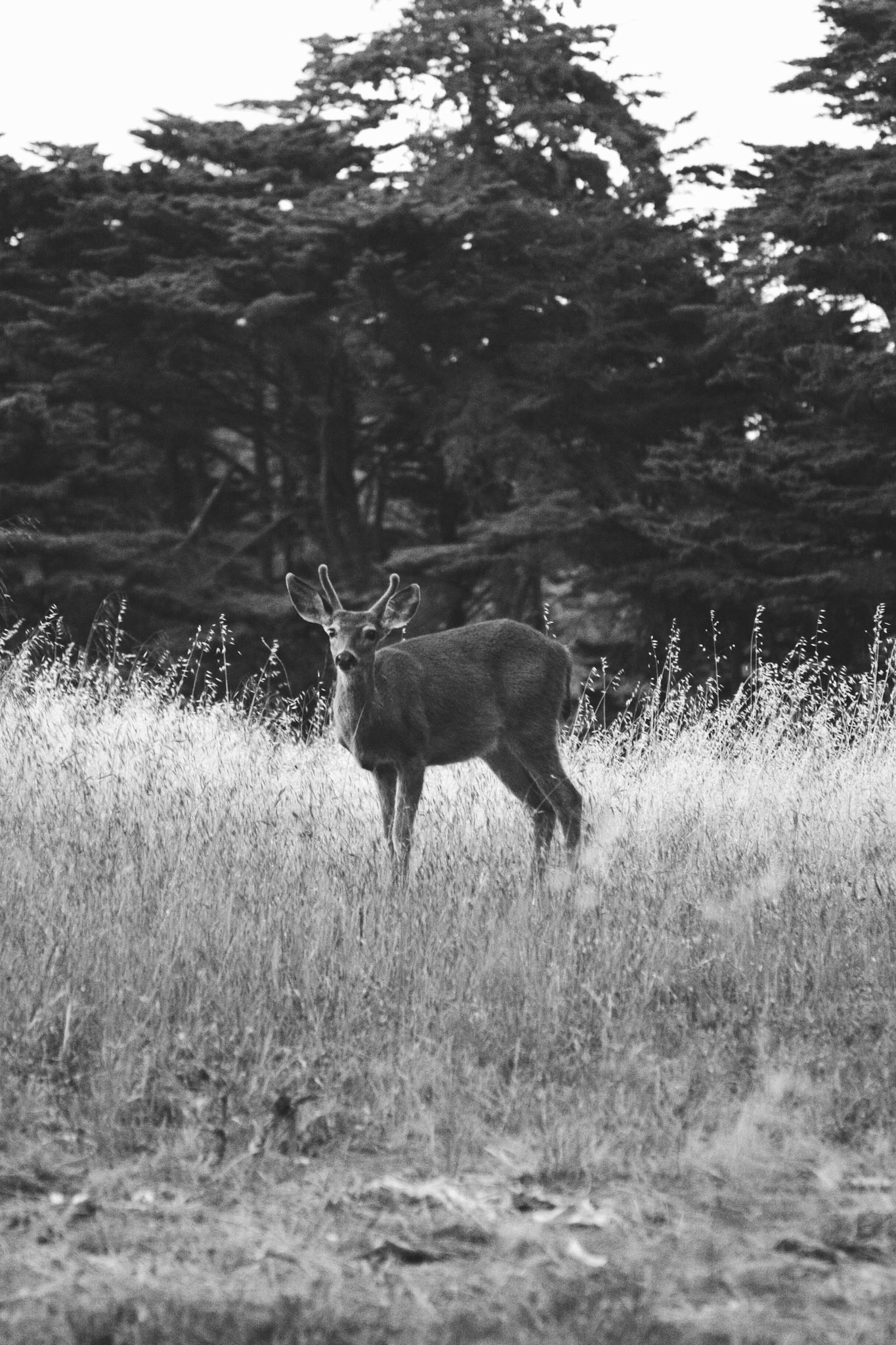 Processed with VSCO with fn16 preset