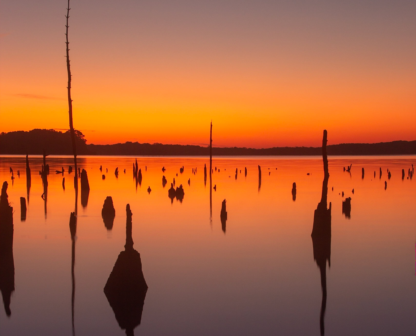 Sunrise - Manasquan Reservoir - Howell, New Jersey