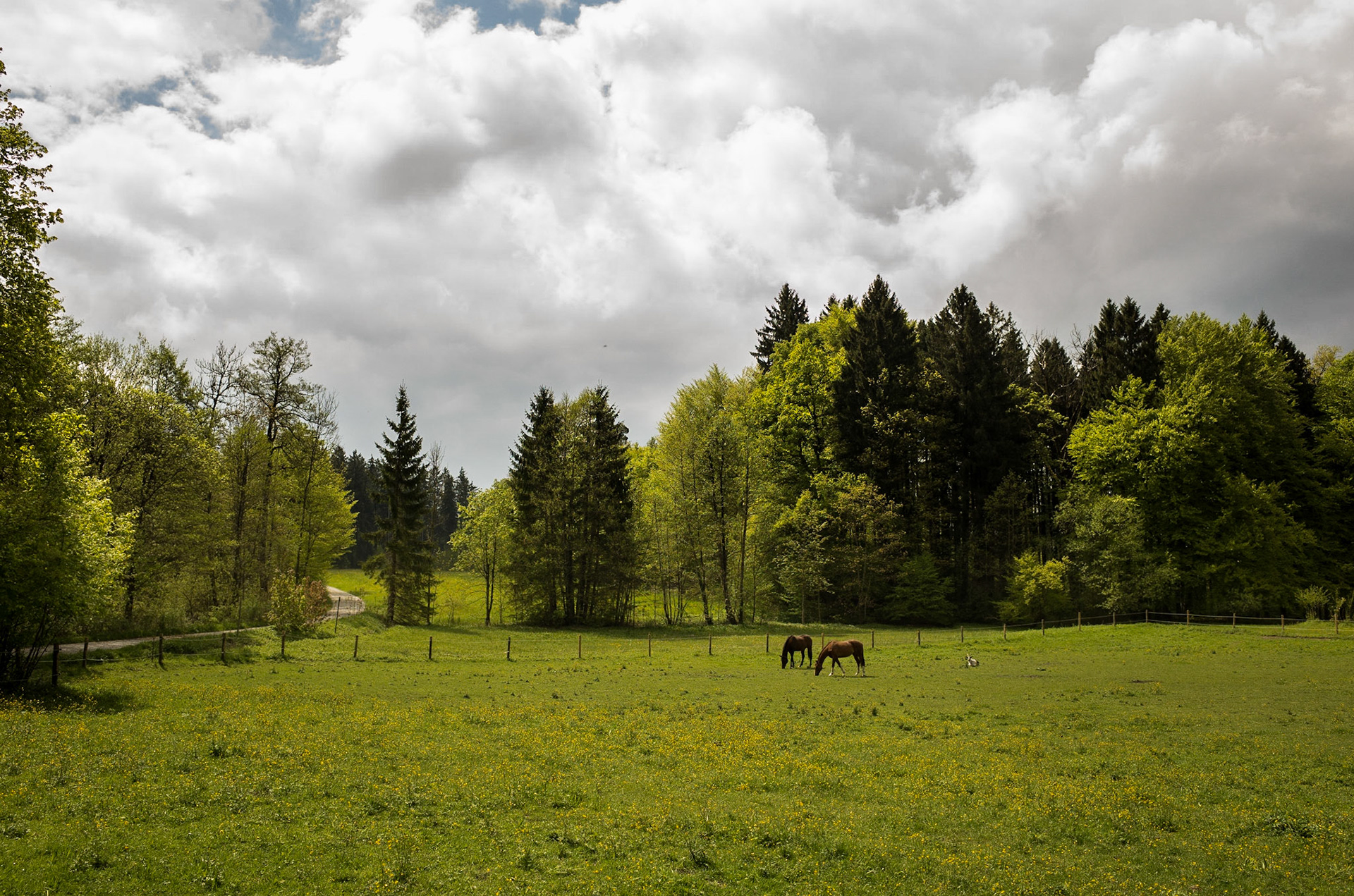 Around Starnberger See