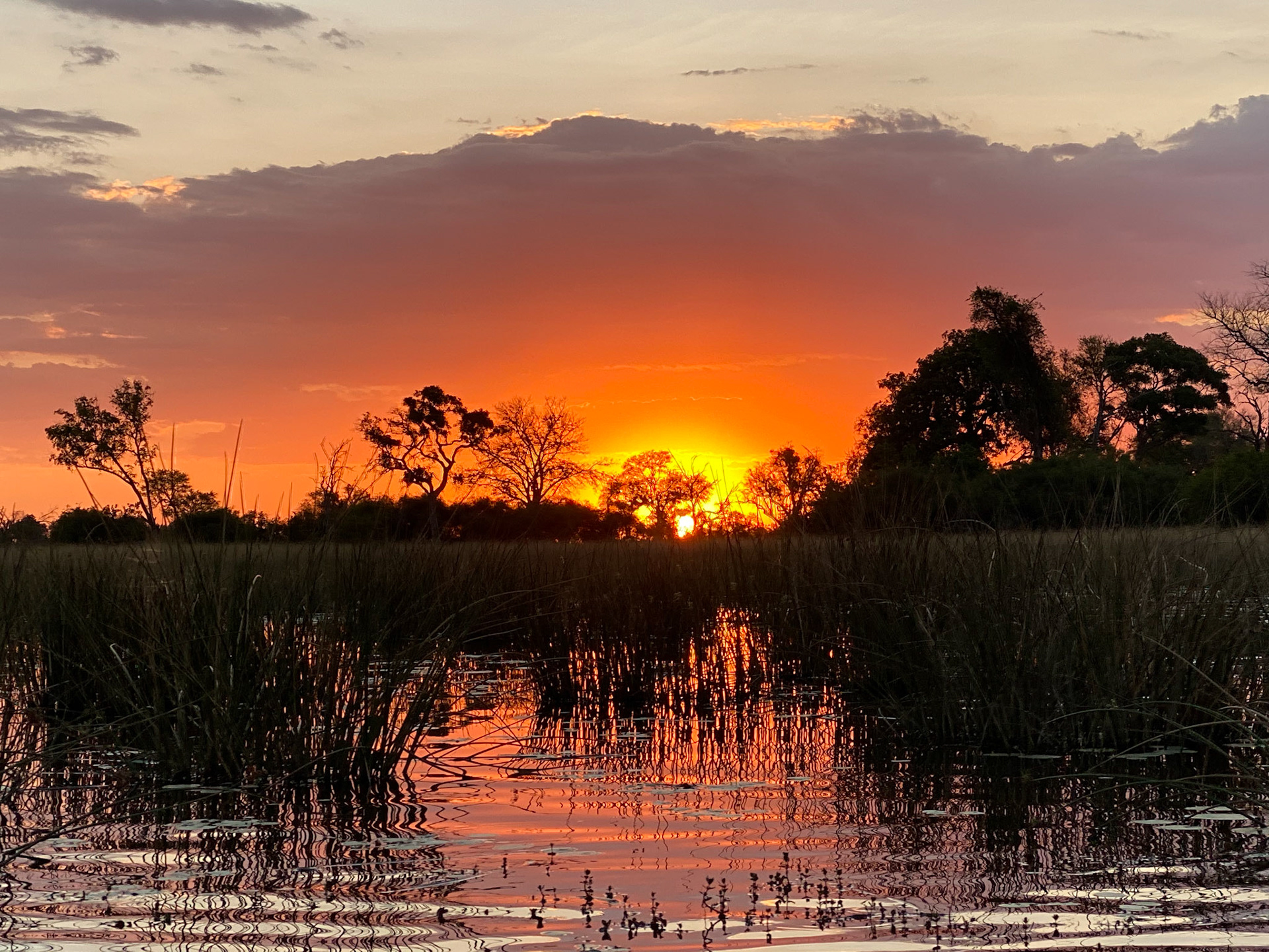 Sunset on the Okavango Delta, Botswana