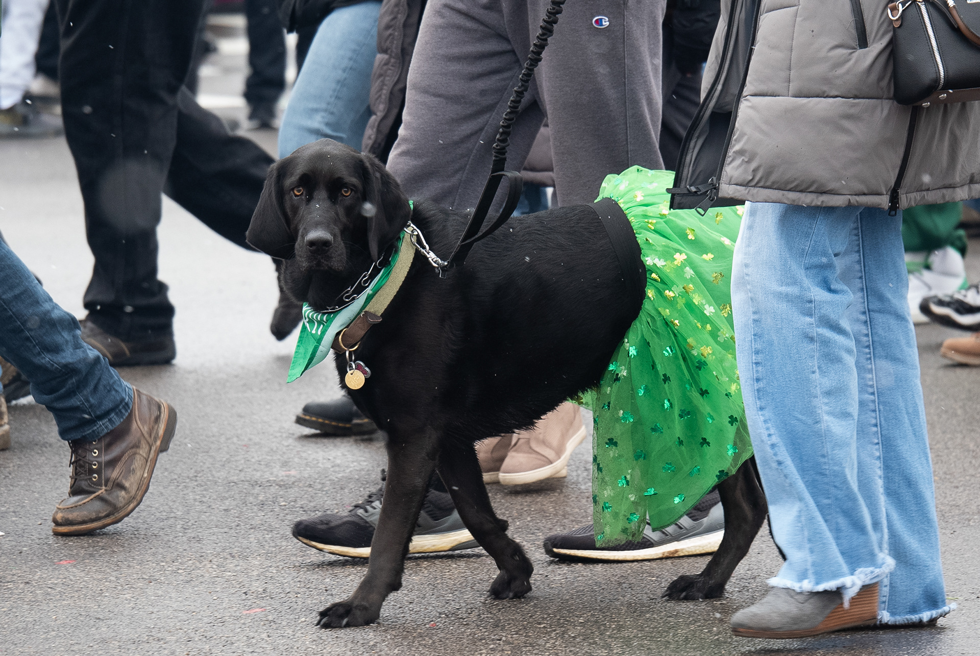 Chicago South Side Irish Parade 2023