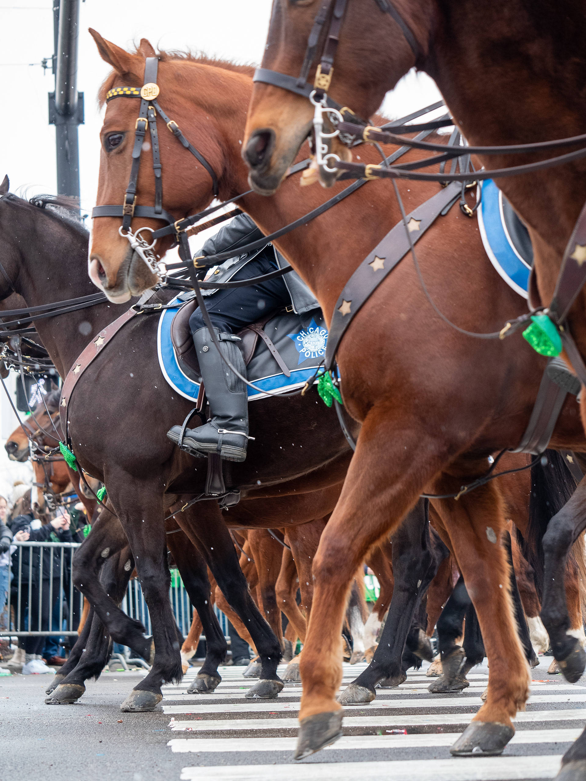 Chicago South Side Irish Parade 2023