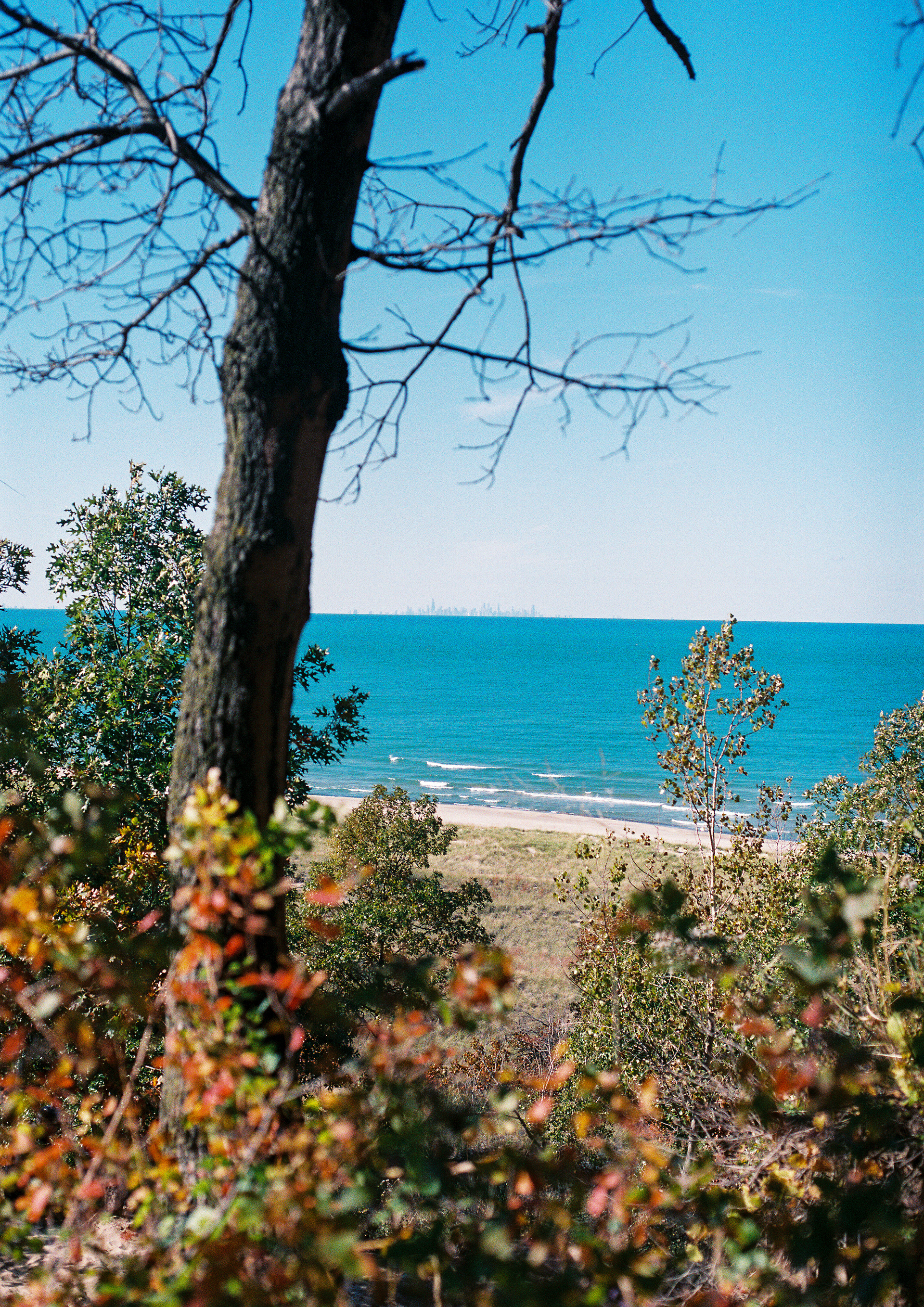 Indiana Dunes (Beverly Shores, Indiana)