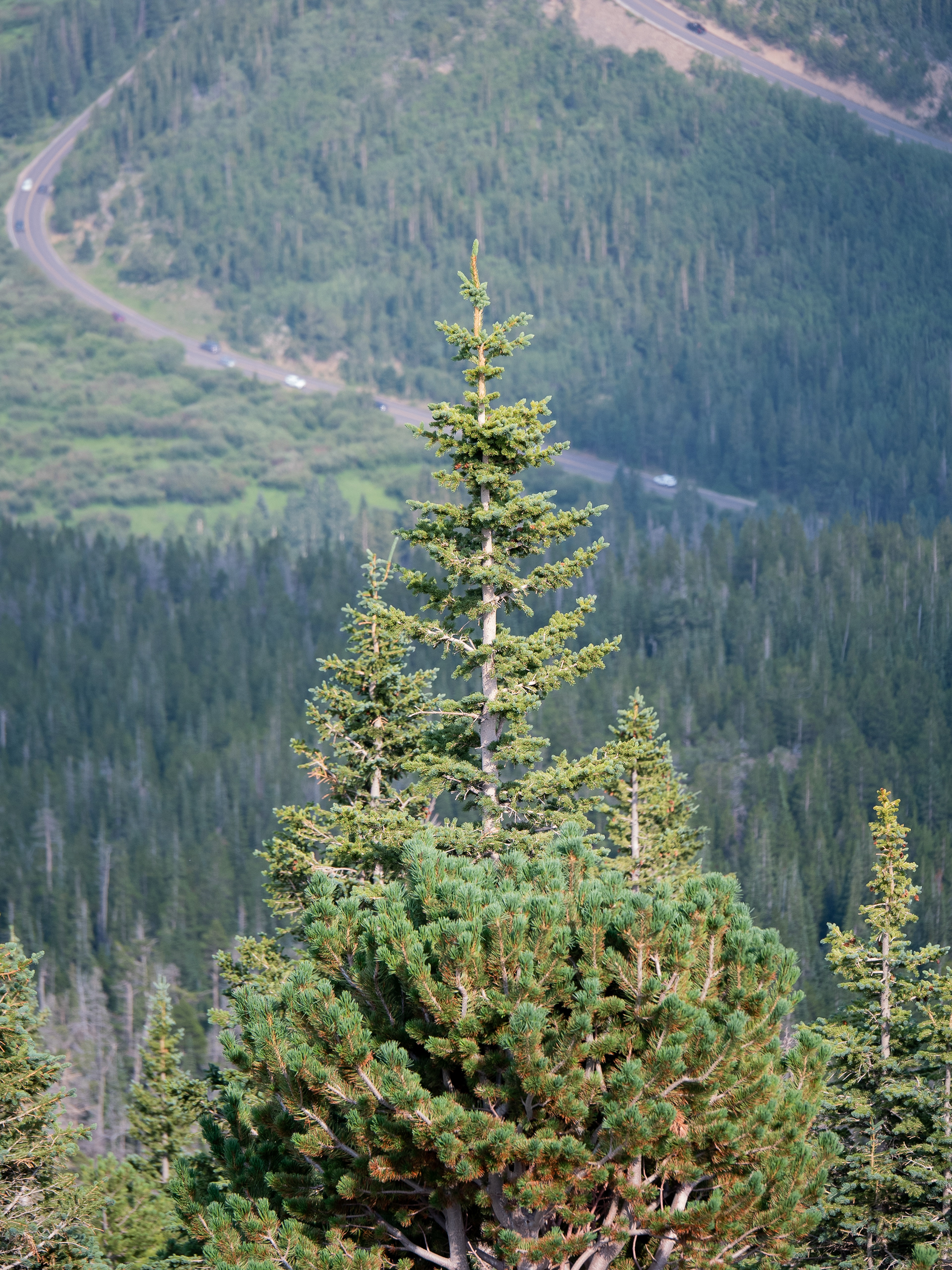 Estes Park, Colorado